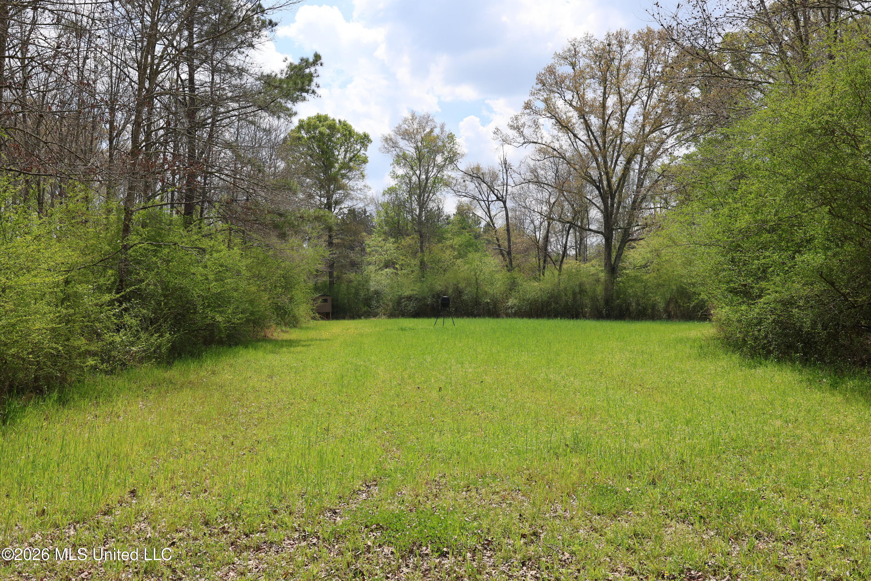 3194 James Road Property Photo 38