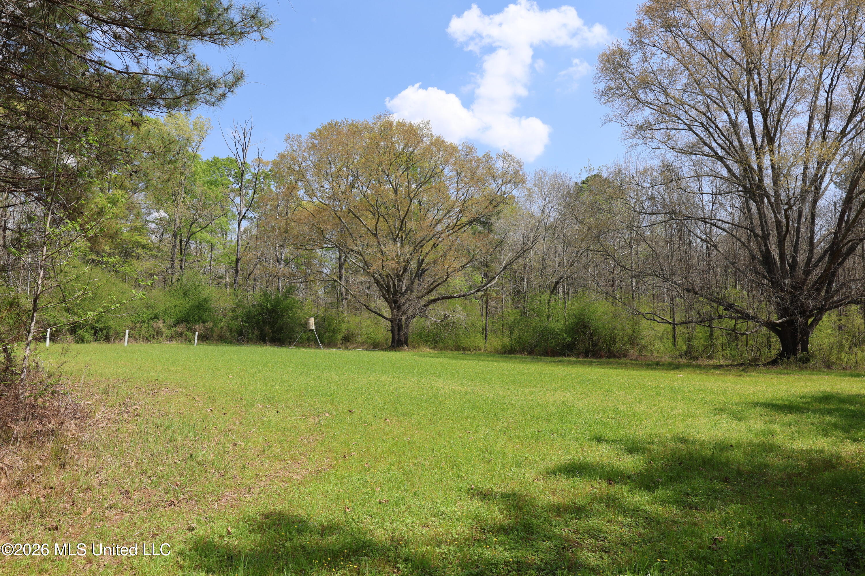 3194 James Road Property Photo 39