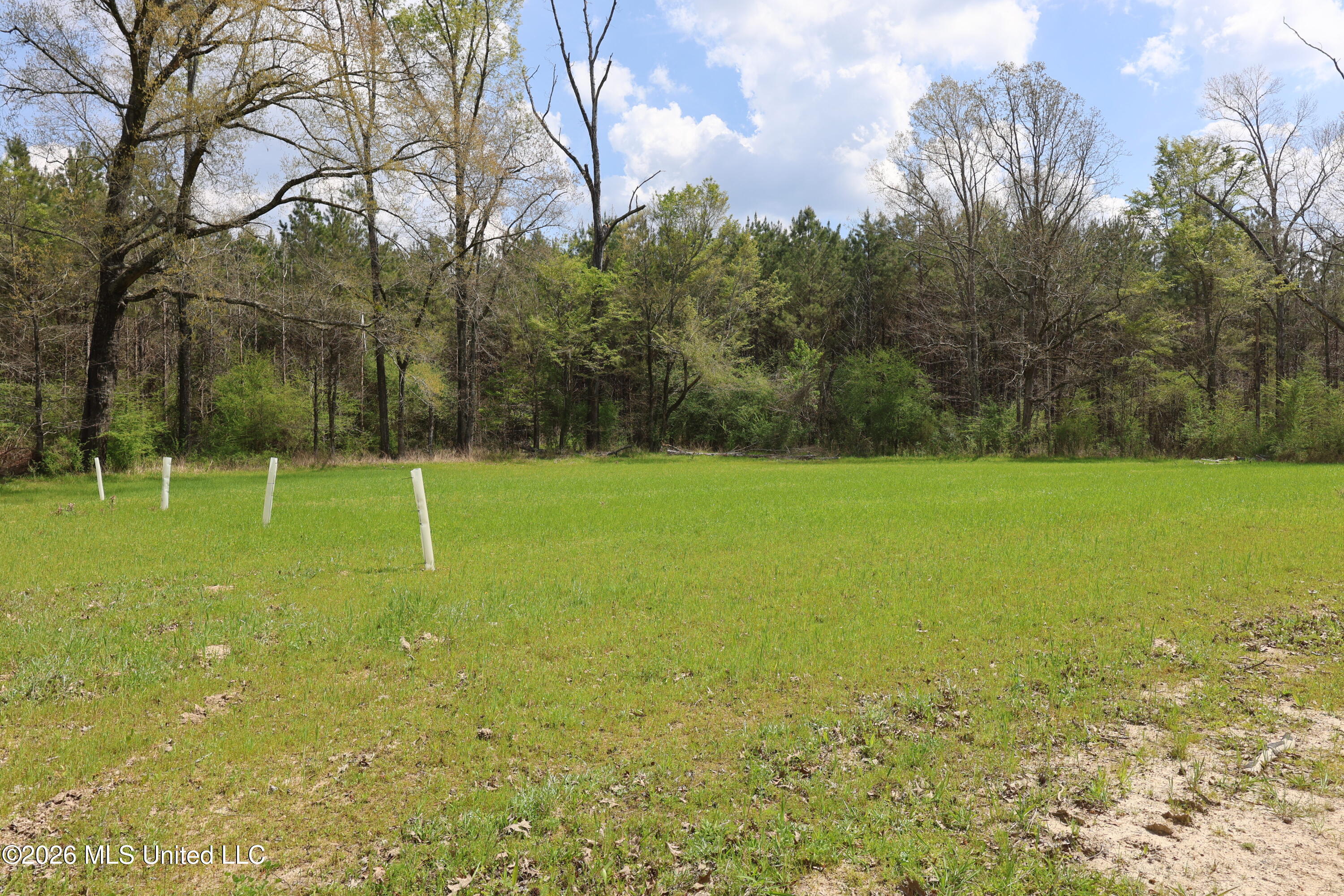 3194 James Road Property Photo 42