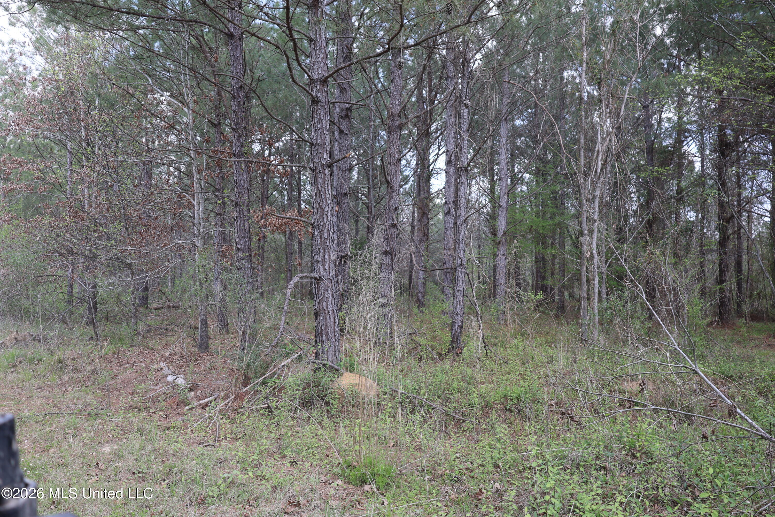 3194 James Road Property Photo 43