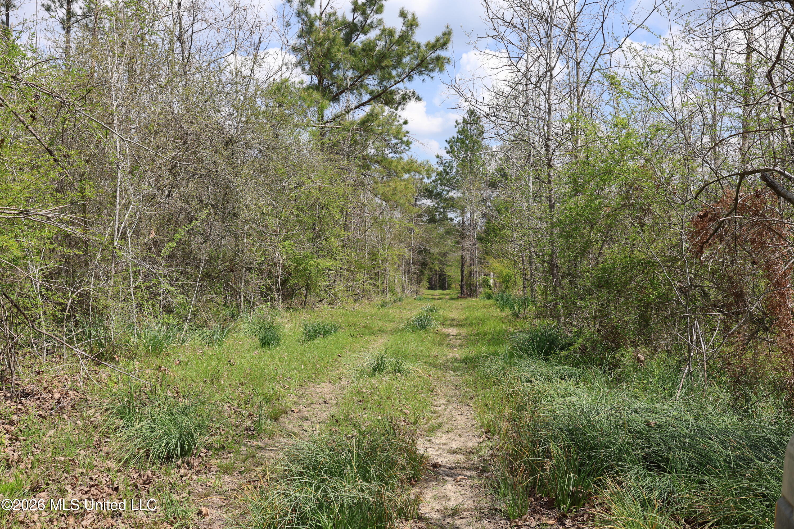 3194 James Road Property Photo 45
