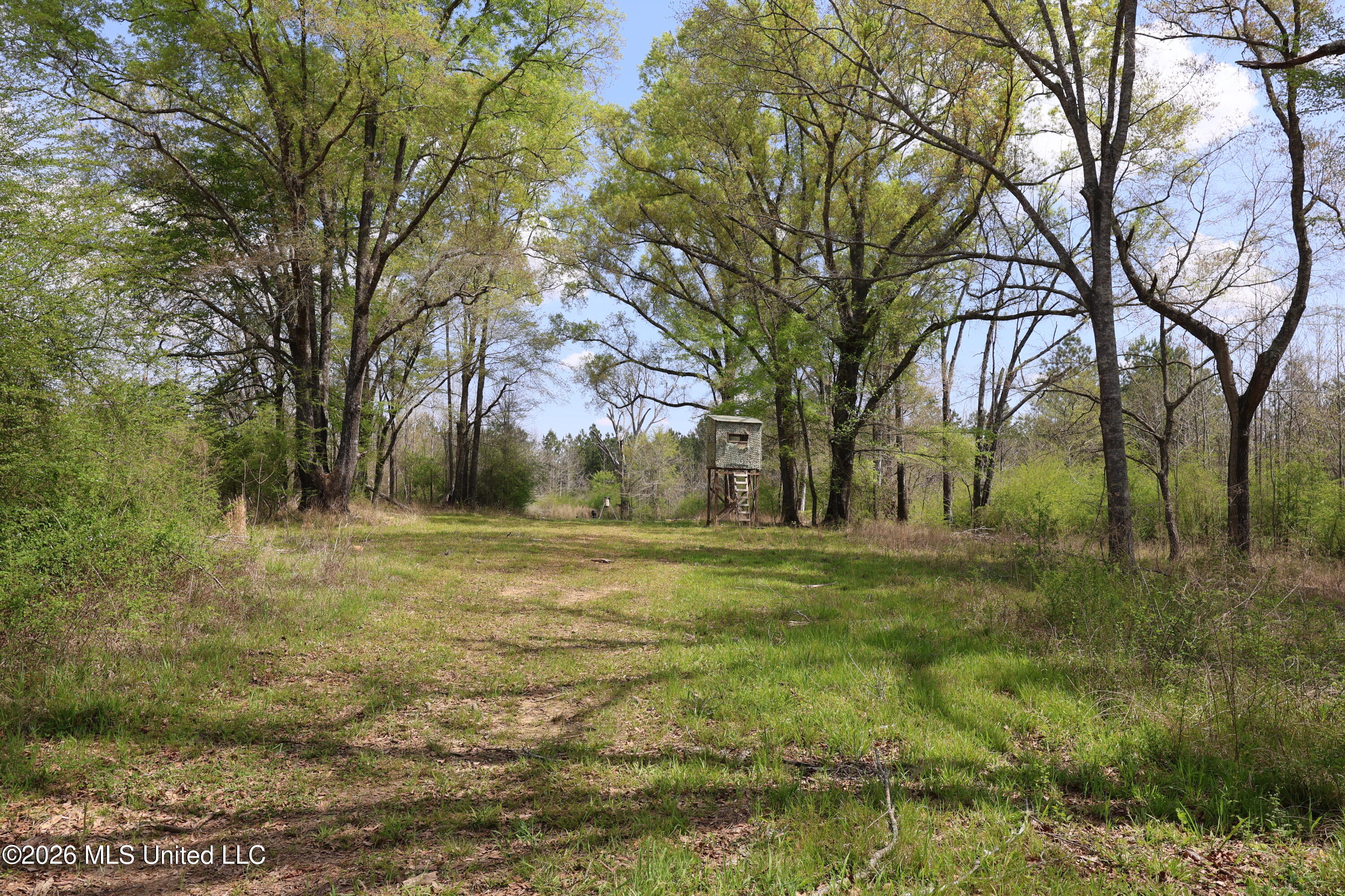 3194 James Road Property Photo 46