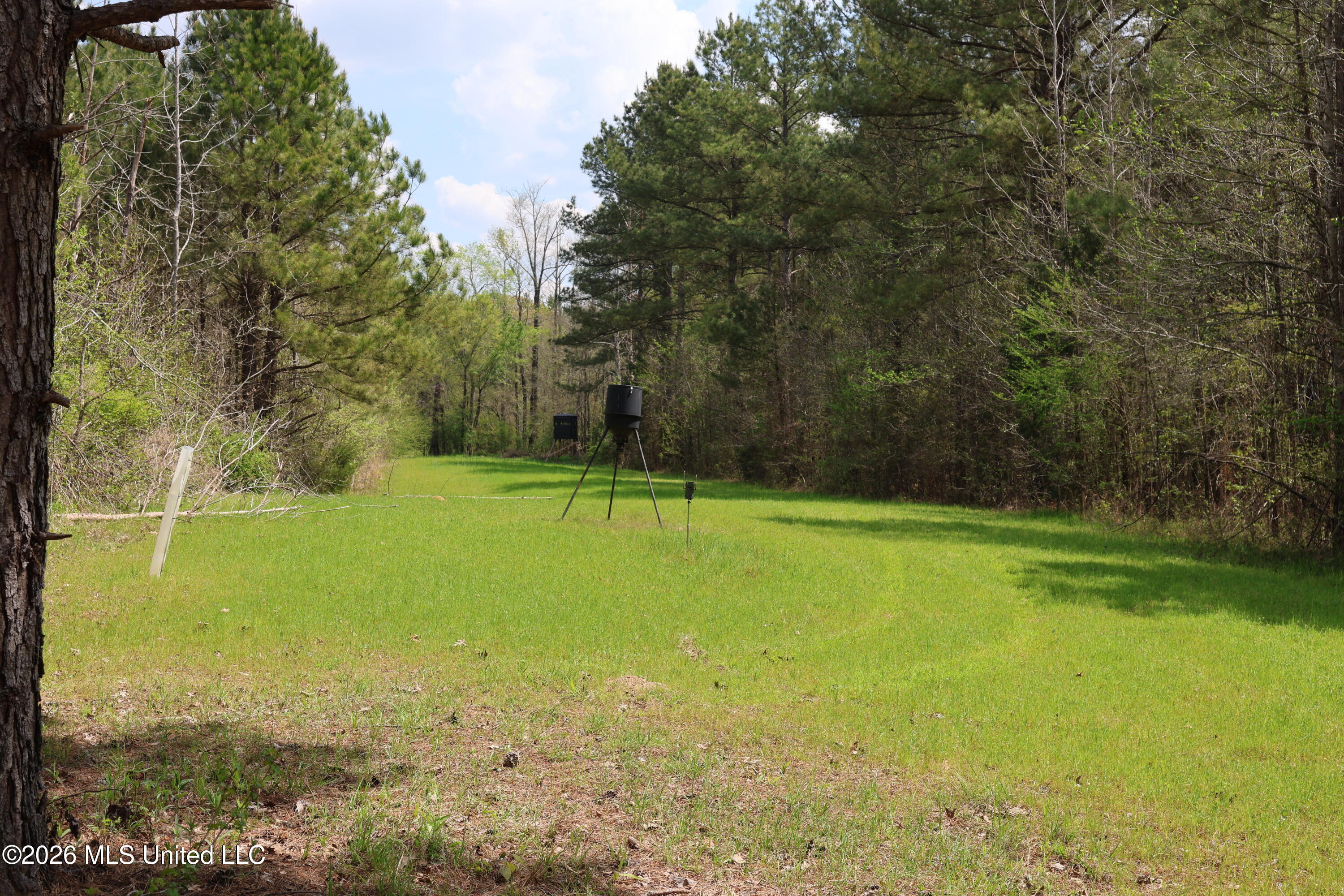 3194 James Road Property Photo 47