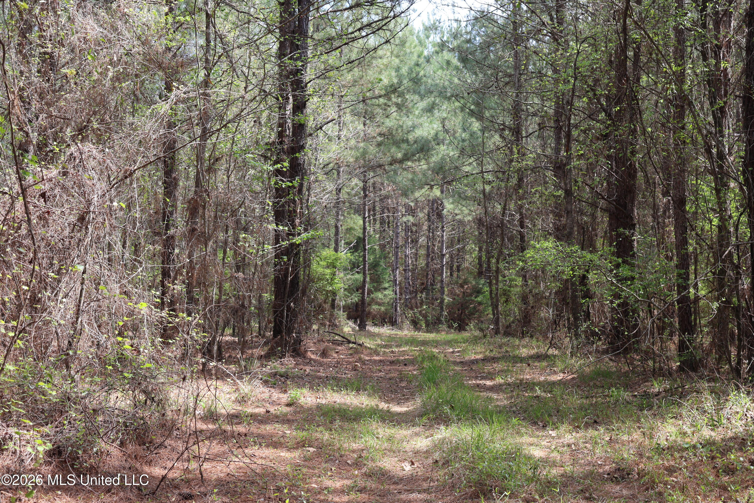 3194 James Road Property Photo 50