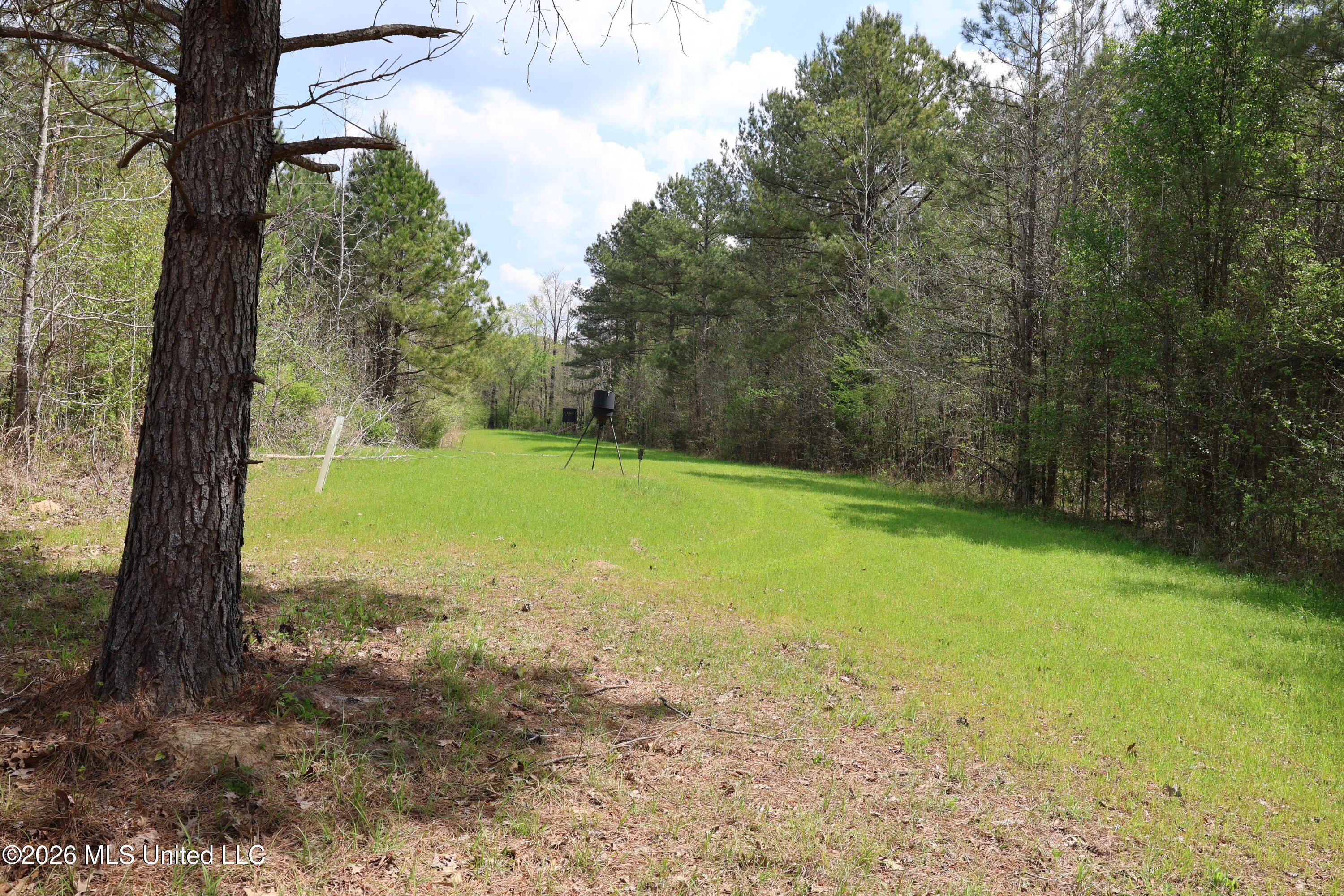 3194 James Road Property Photo 52