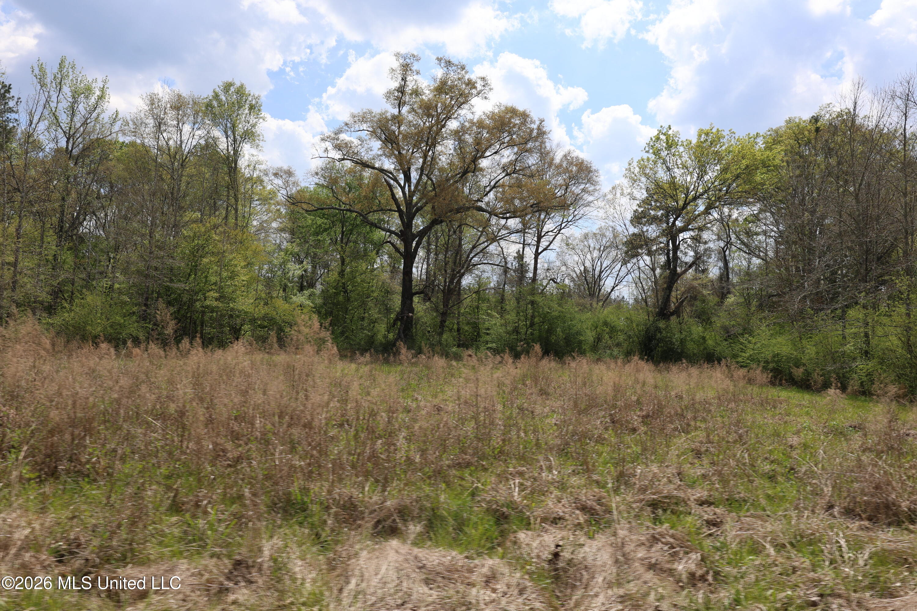 3194 James Road Property Photo 53