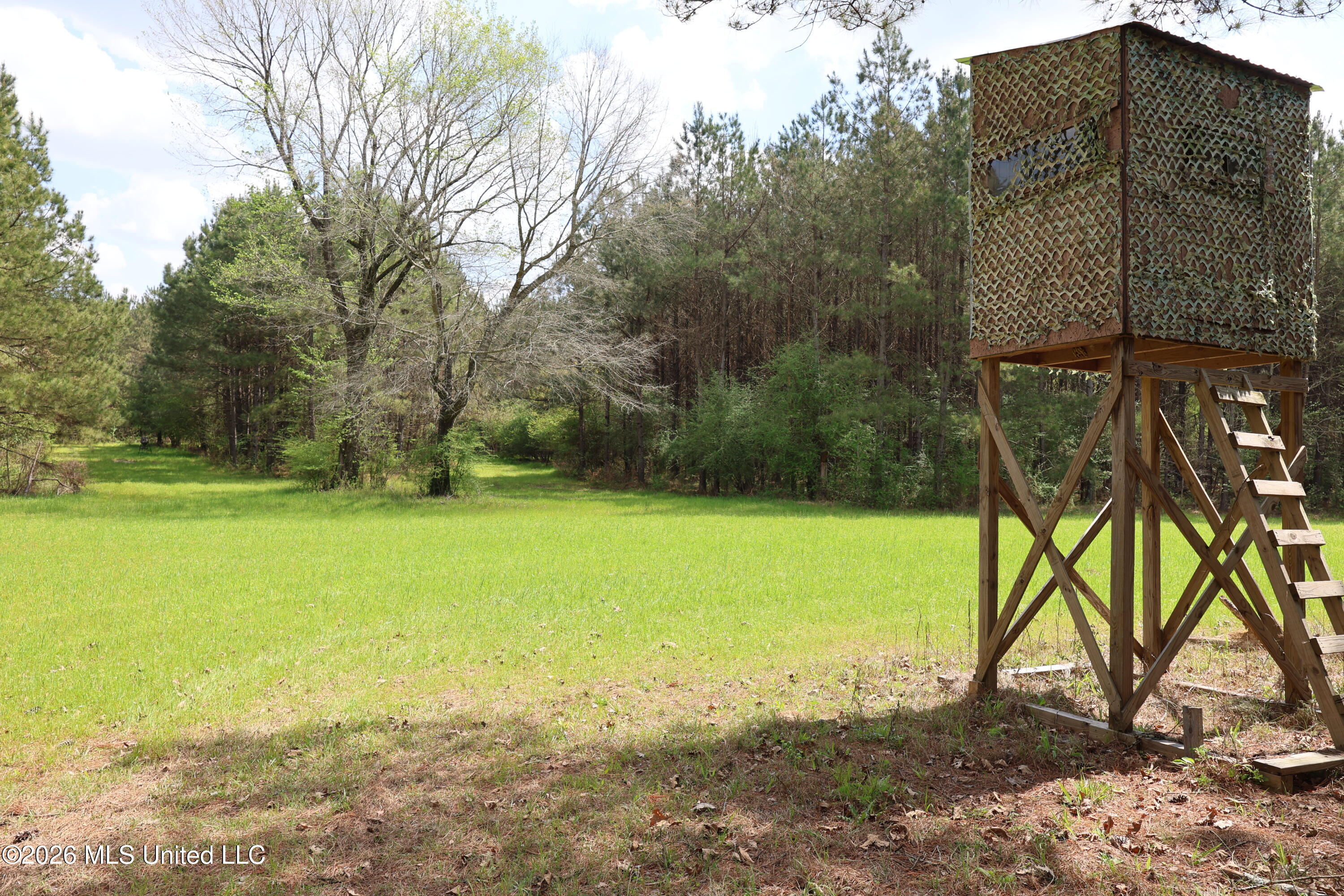 3194 James Road Property Photo 54