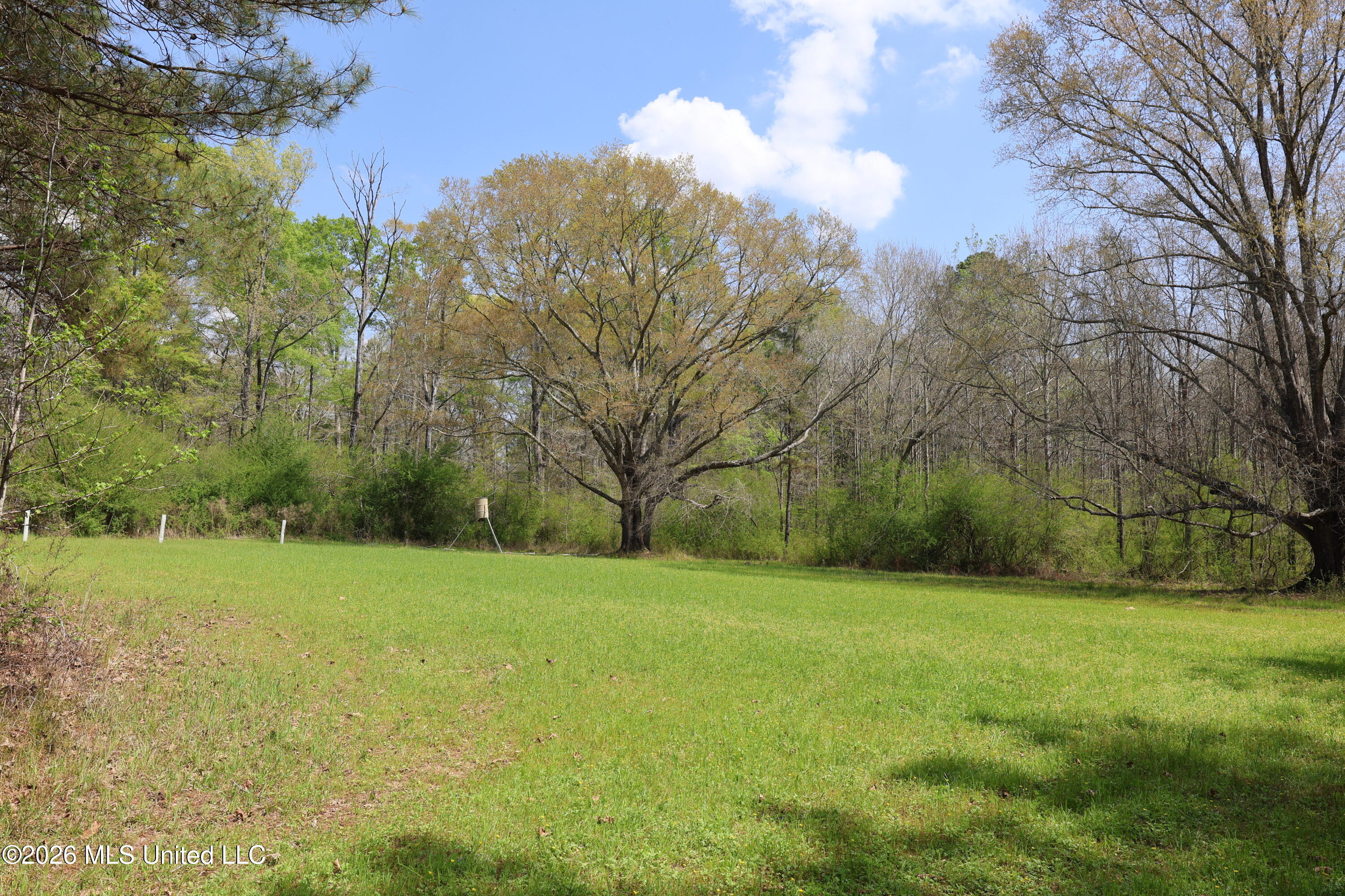 3194 James Road Property Photo 56