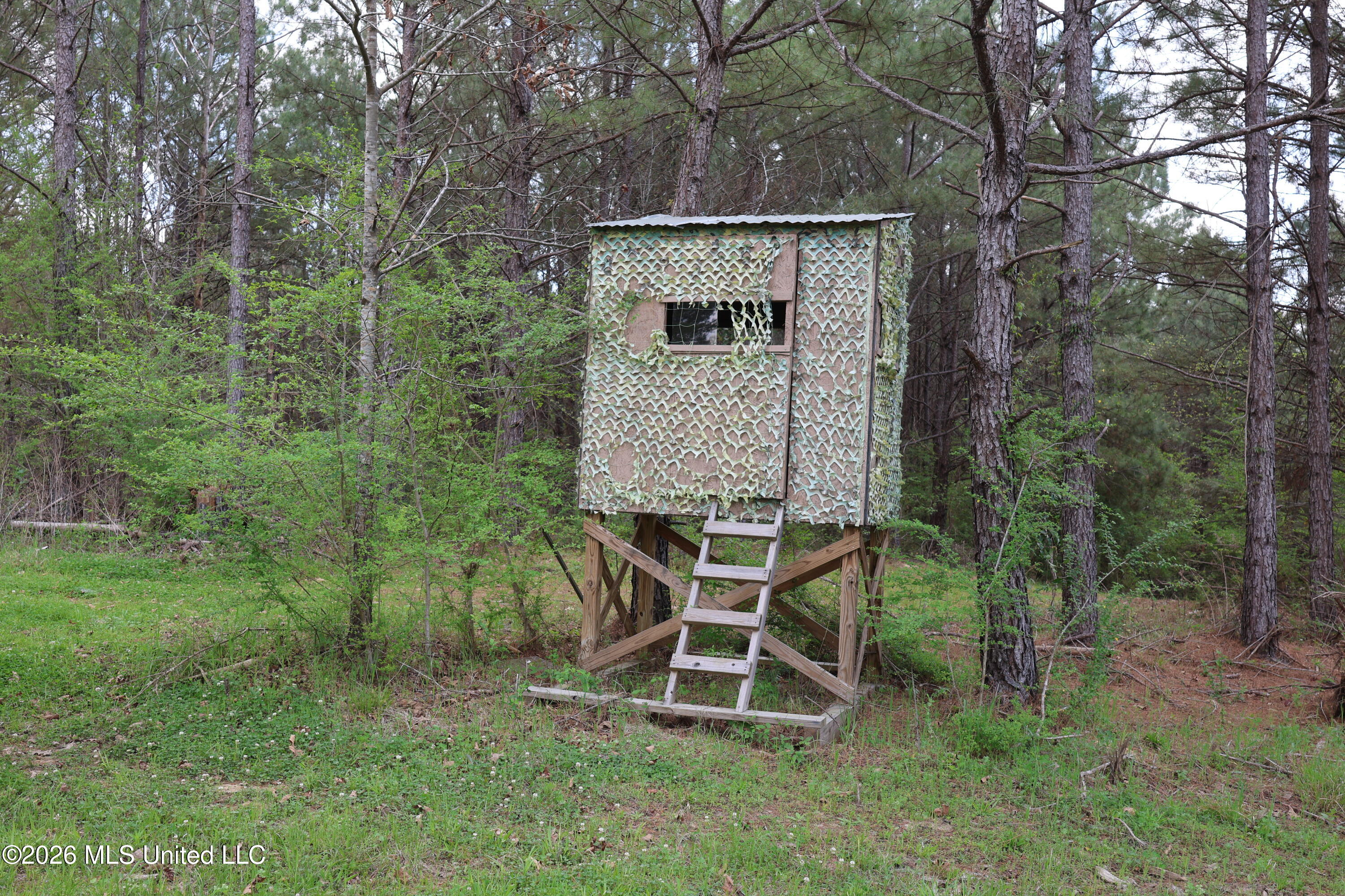 3194 James Road Property Photo 58
