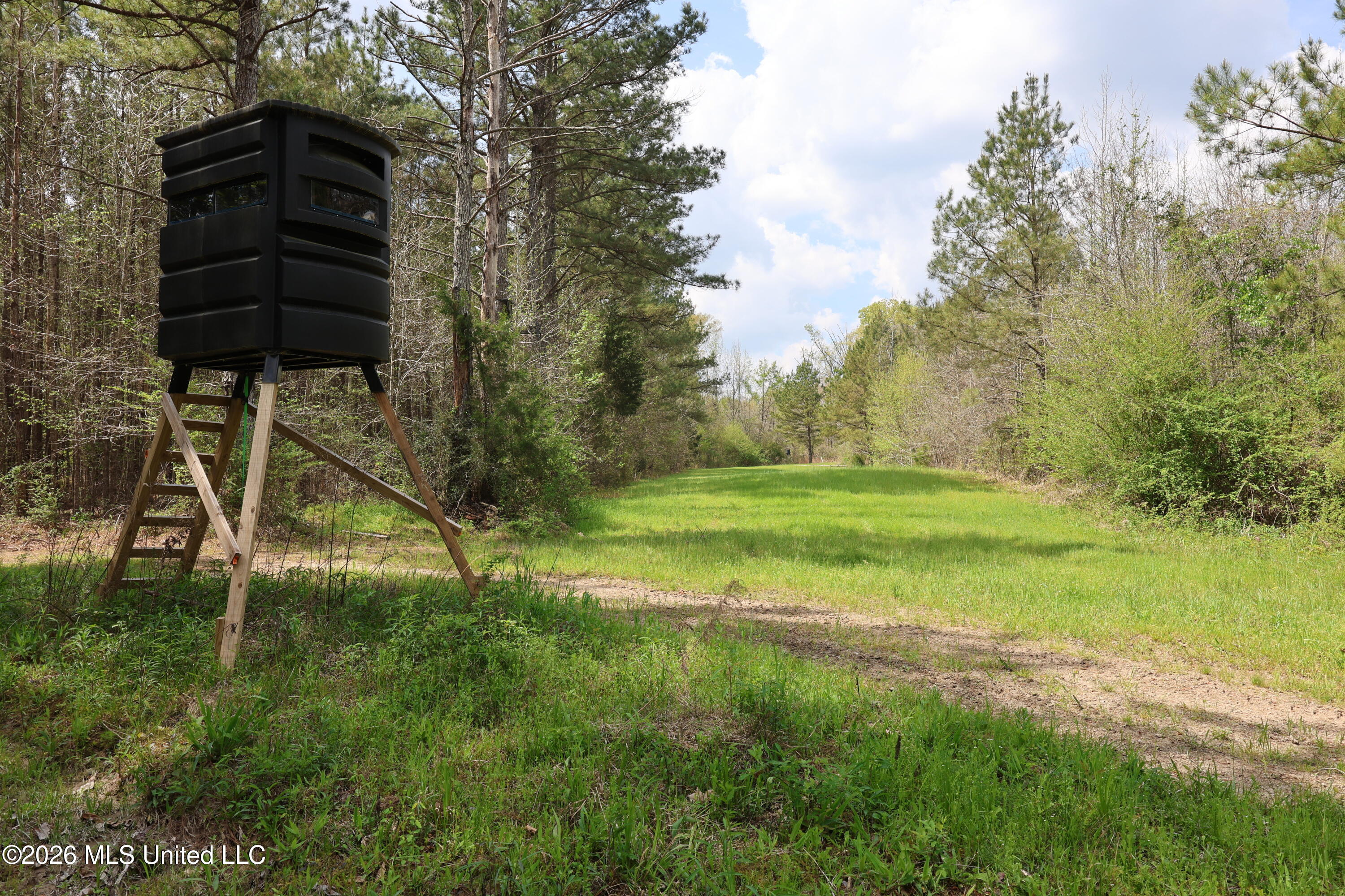 3194 James Road Property Photo 59