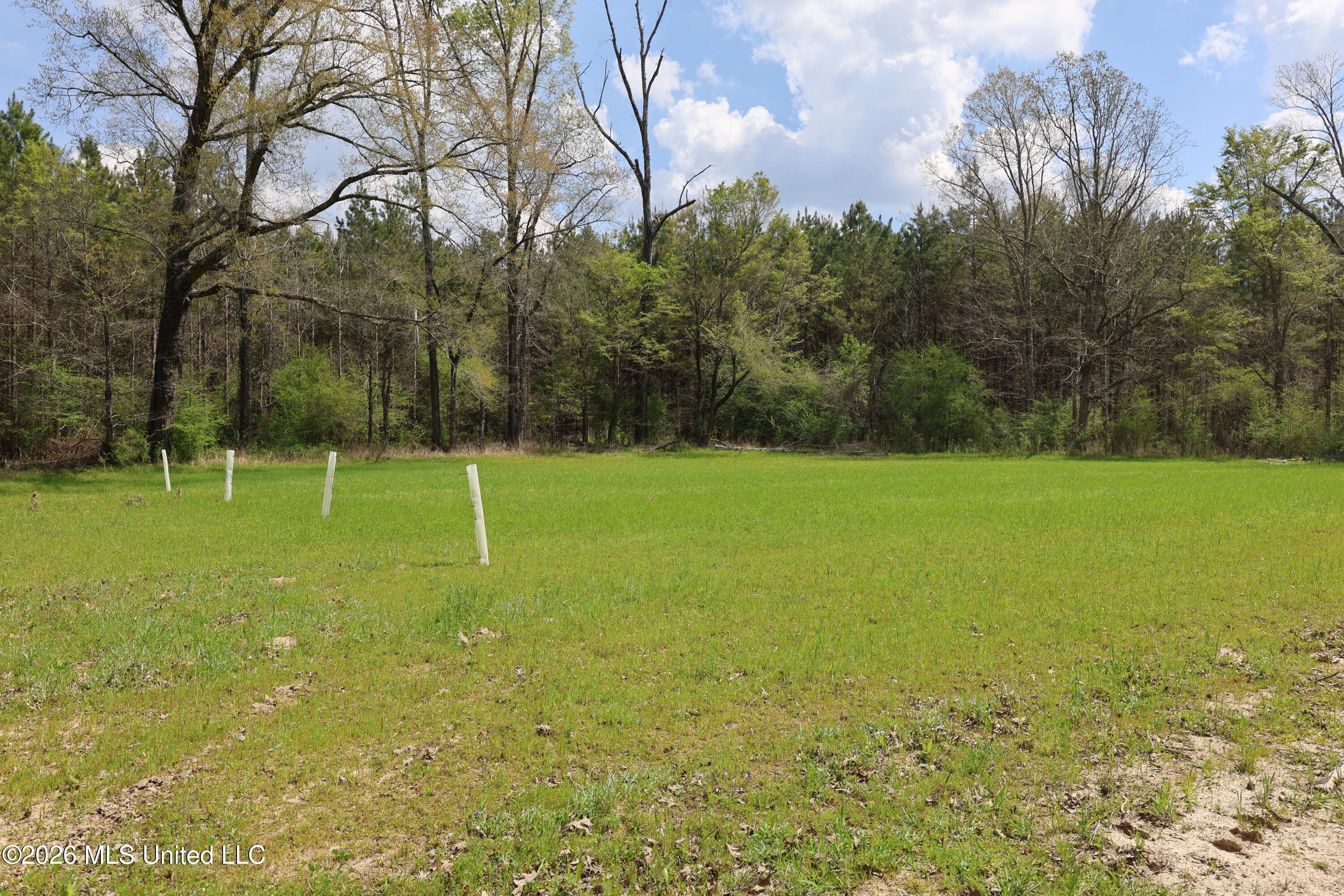 3194 James Road Property Photo 61