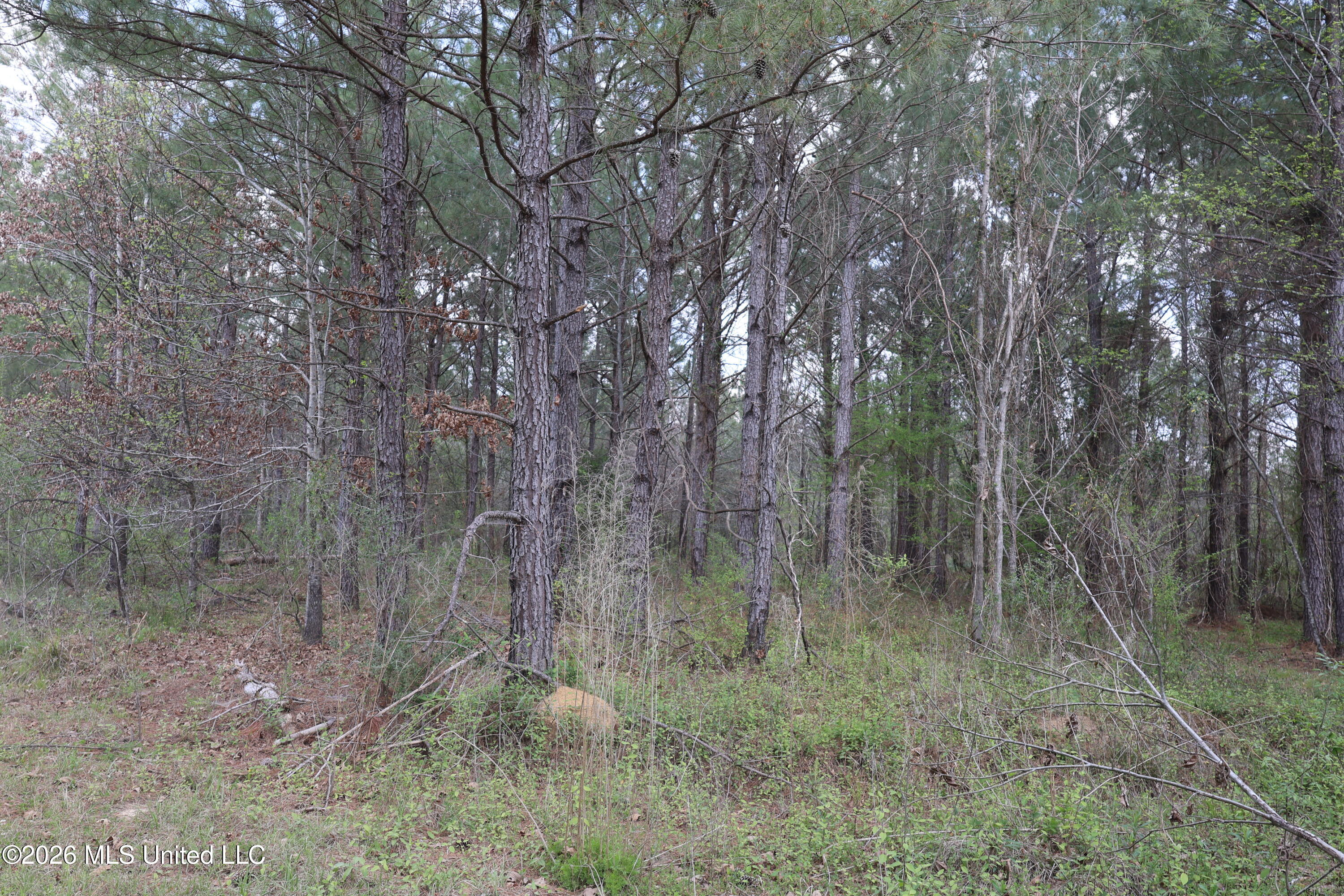 3194 James Road Property Photo 63