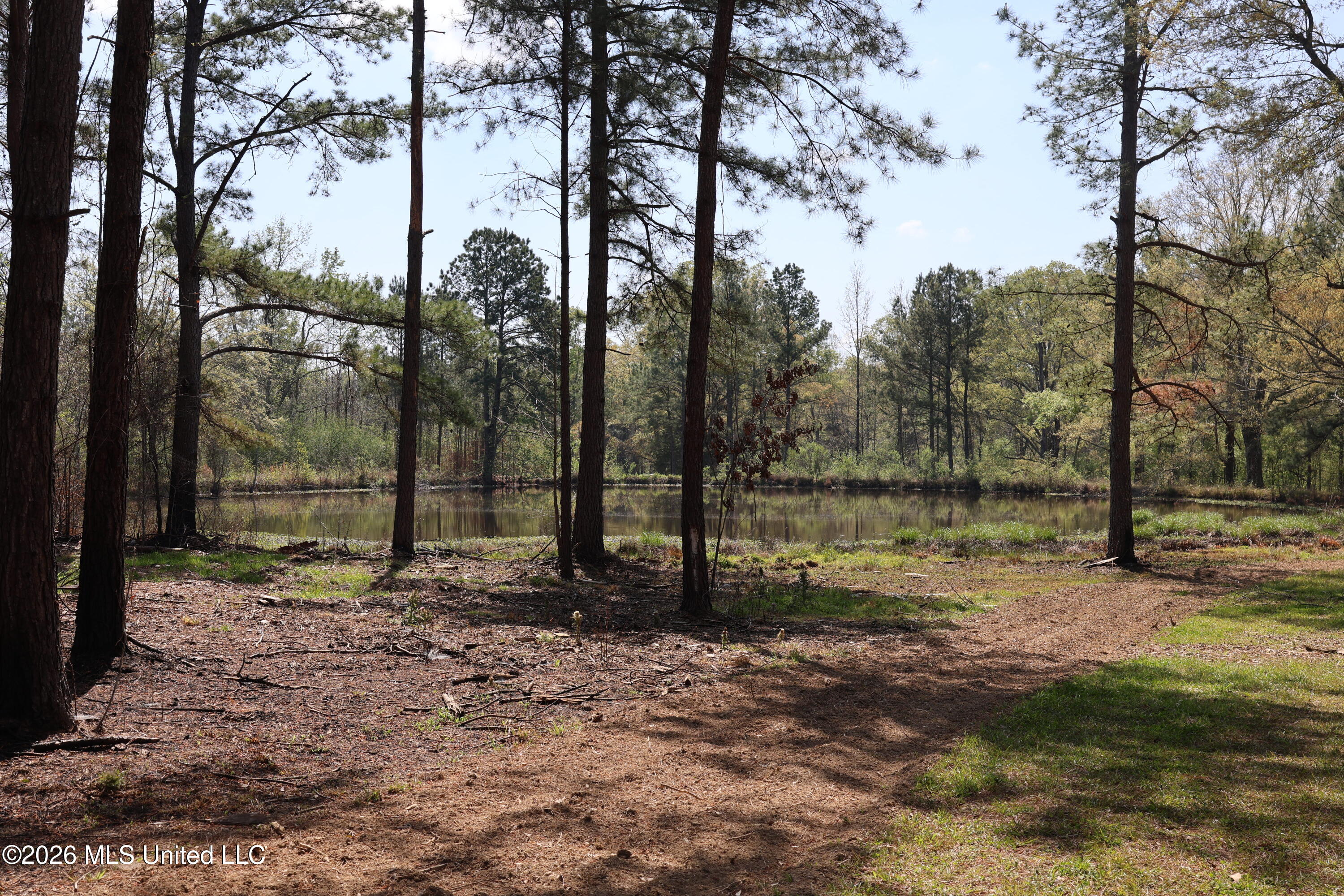 3194 James Road Property Photo 64