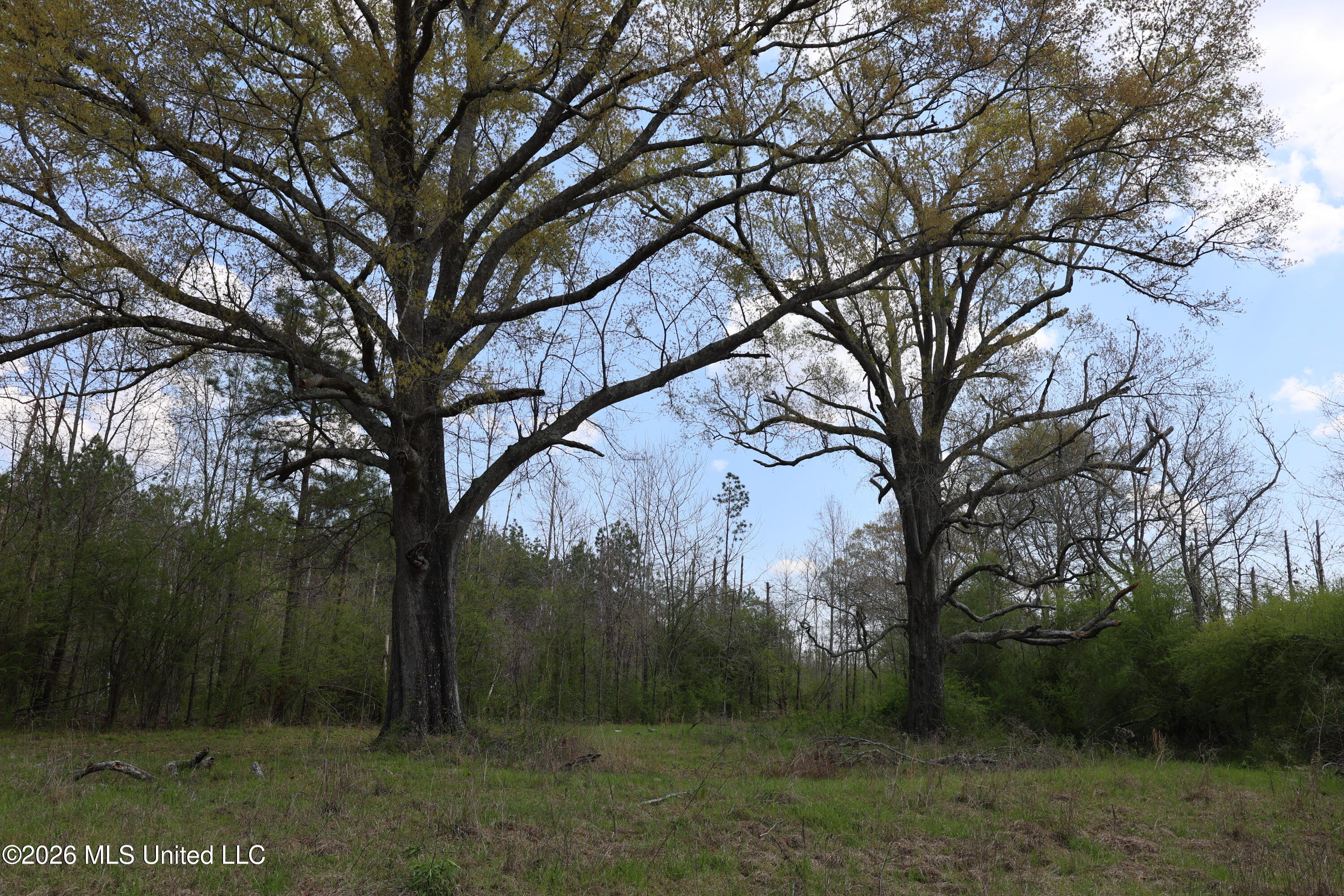 3194 James Road Property Photo 65