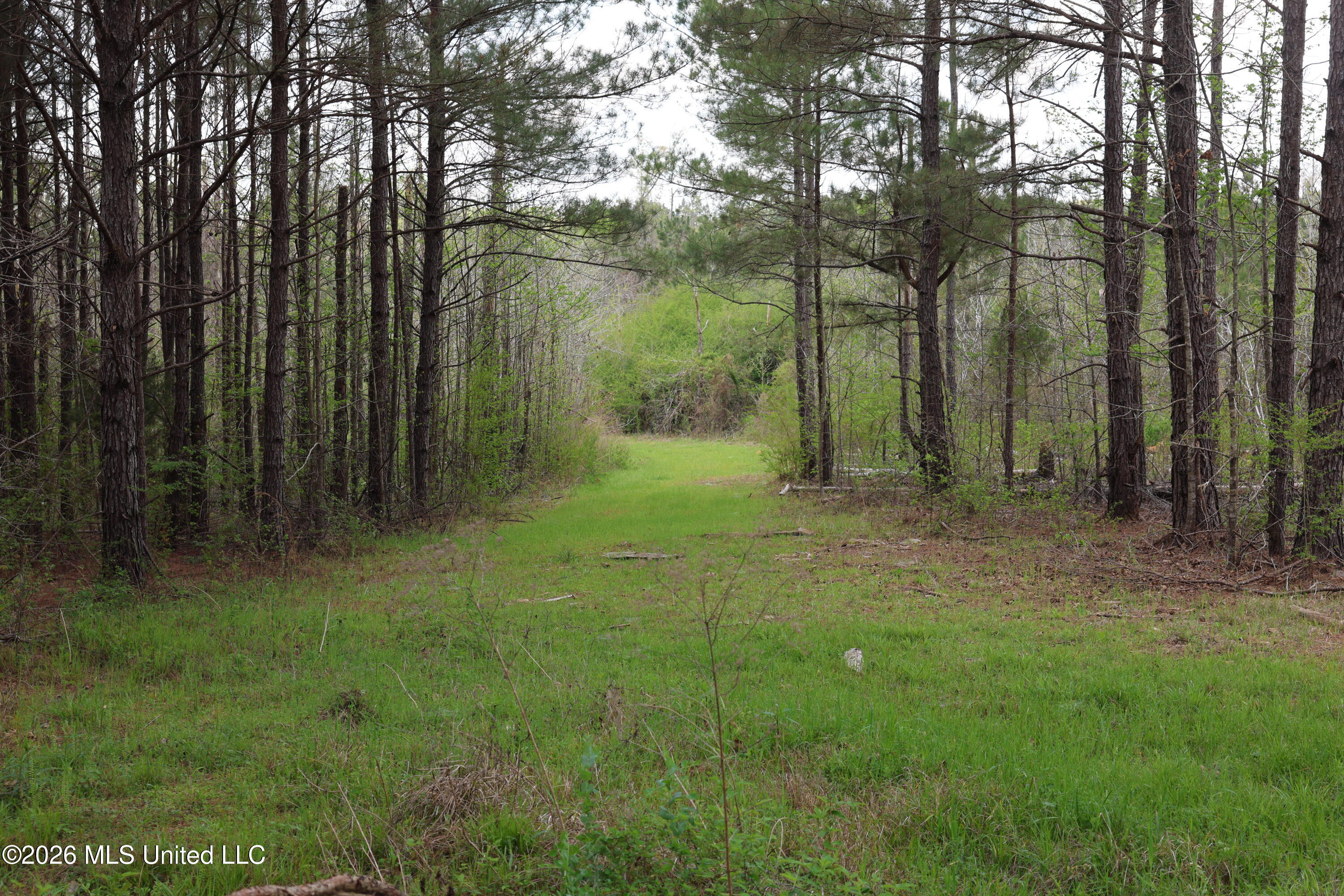 3194 James Road Property Photo 66