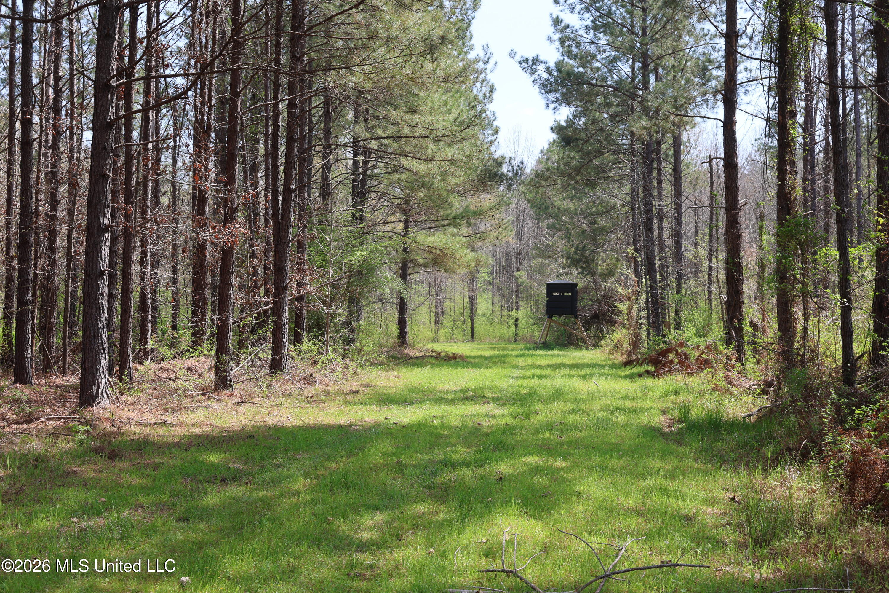 3194 James Road Property Photo 68
