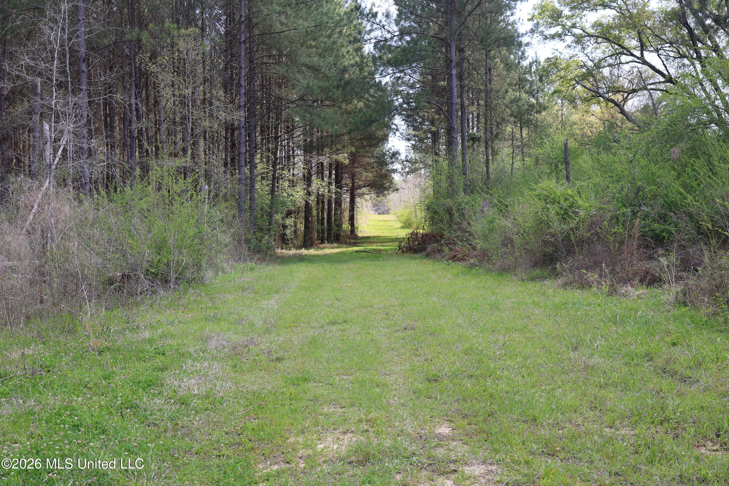 3194 James Road Property Photo 70