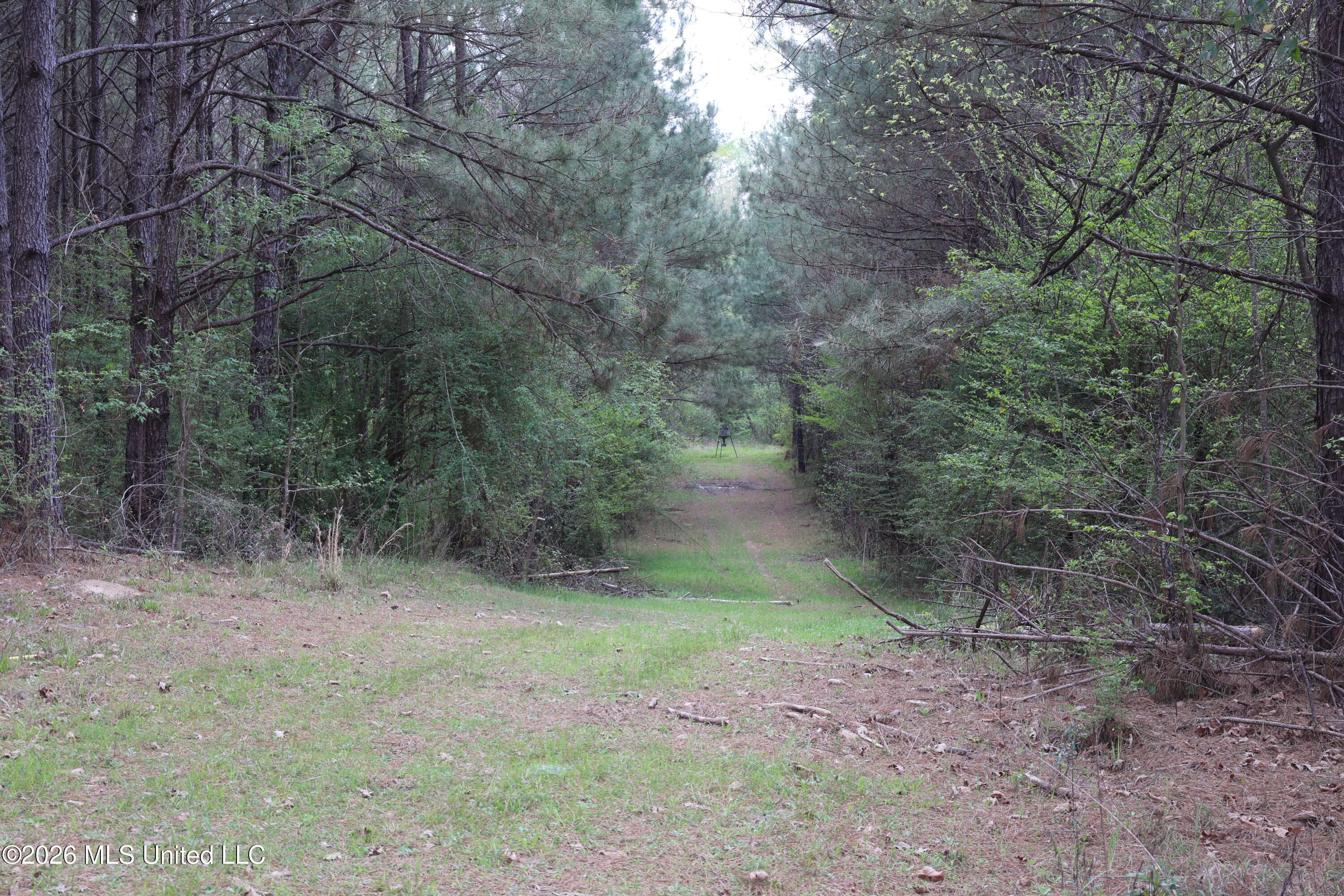 3194 James Road Property Photo 71