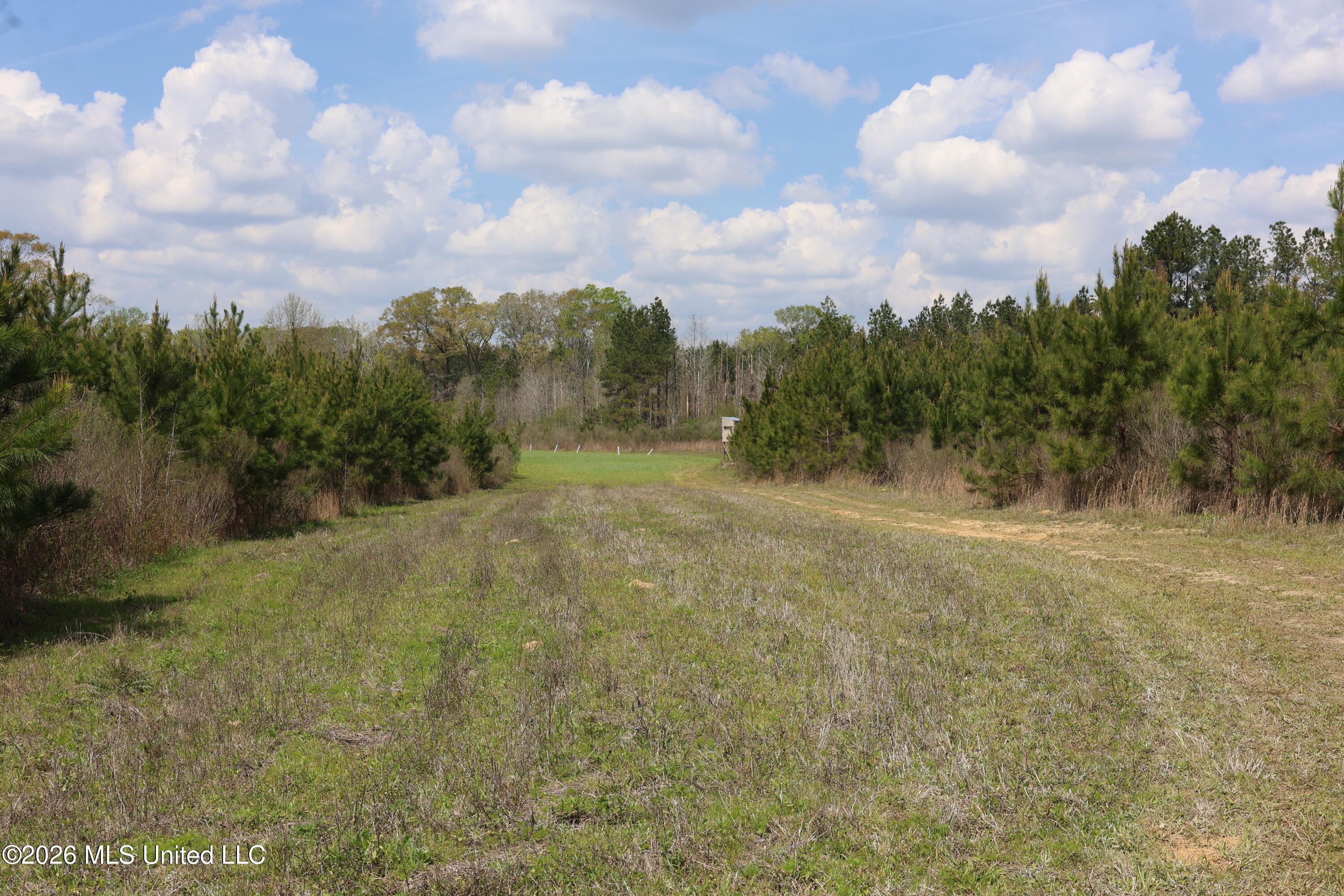 3194 James Road Property Photo 73