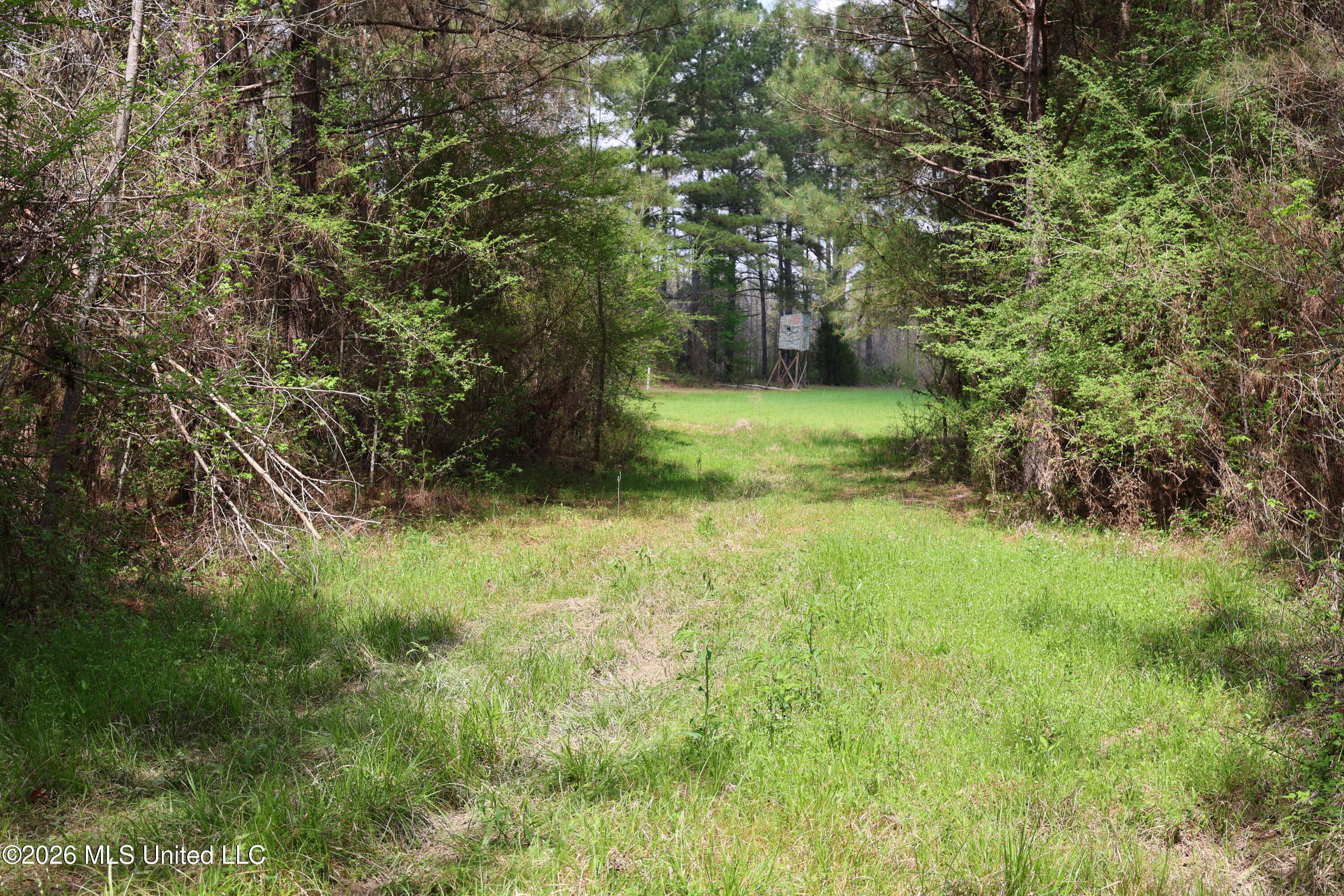 3194 James Road Property Photo 74