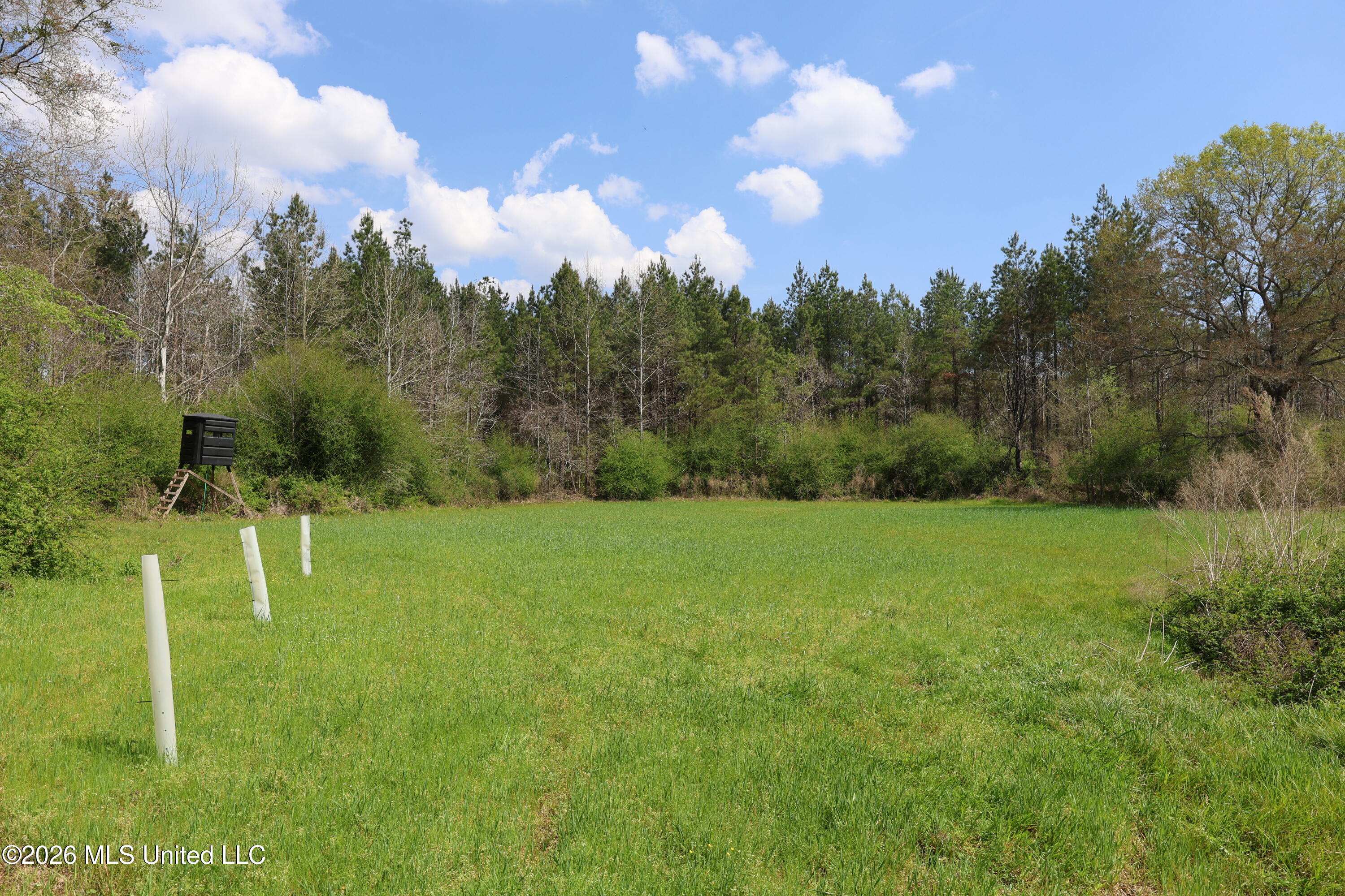 3194 James Road Property Photo 76
