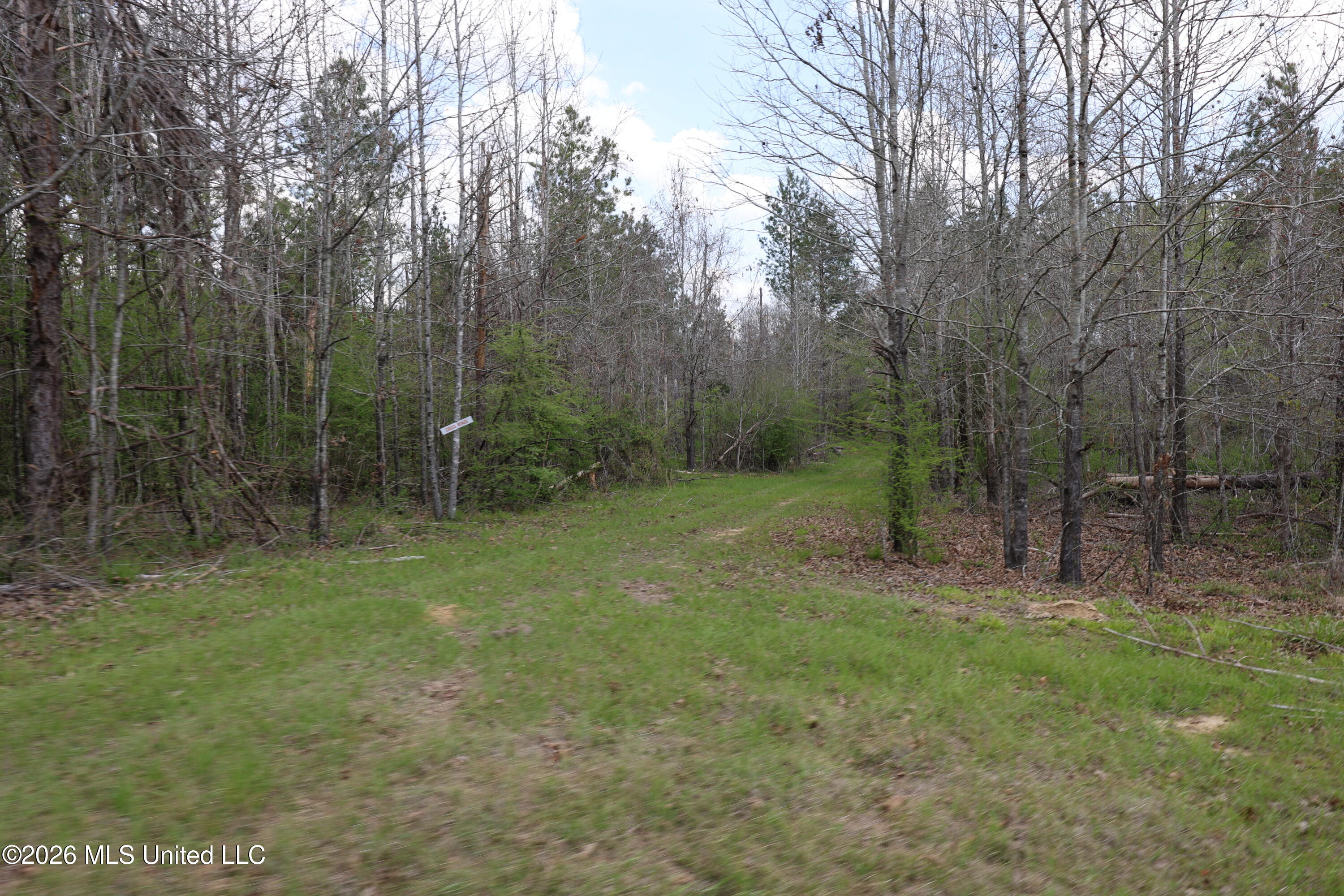 3194 James Road Property Photo 77