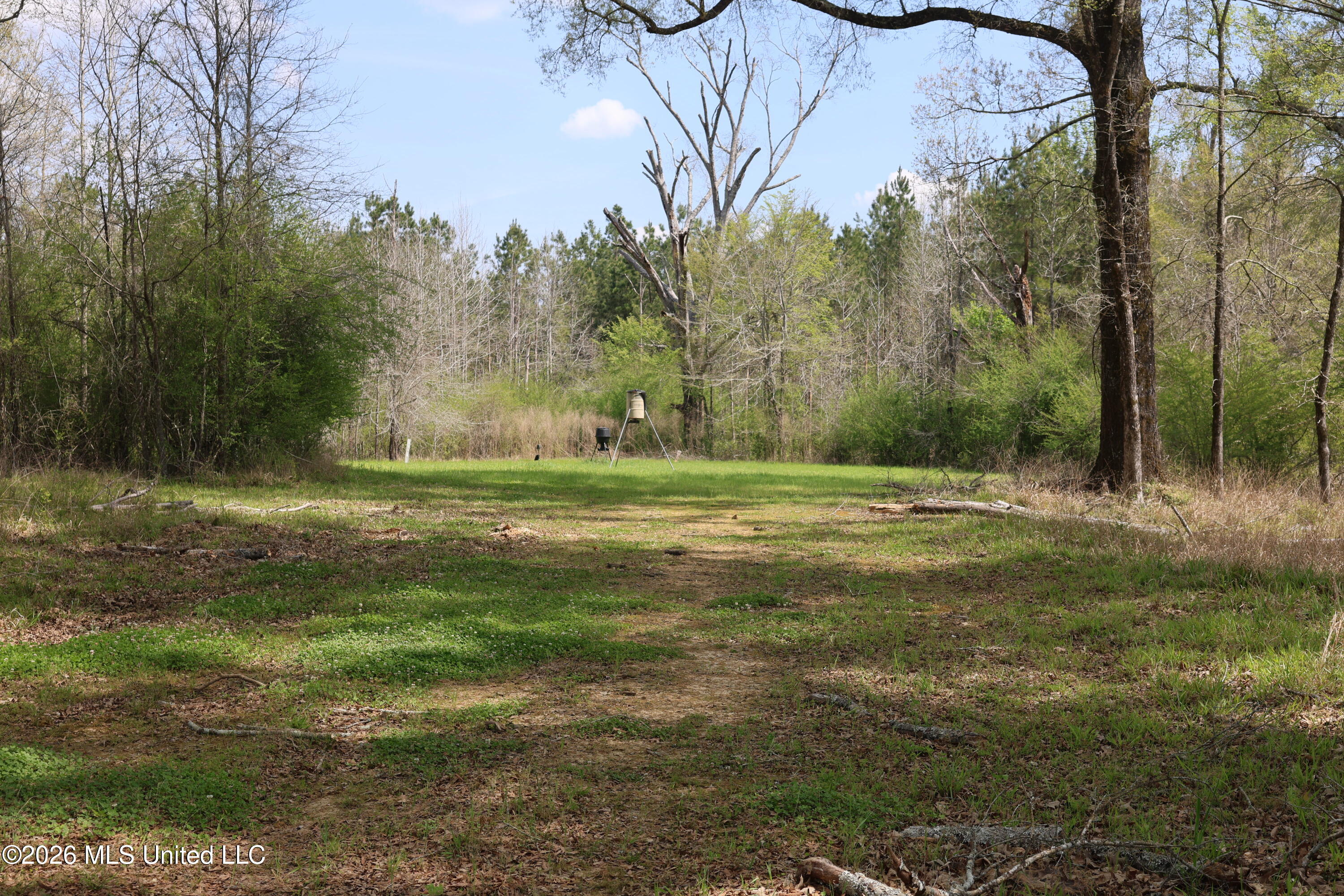 3194 James Road Property Photo 78