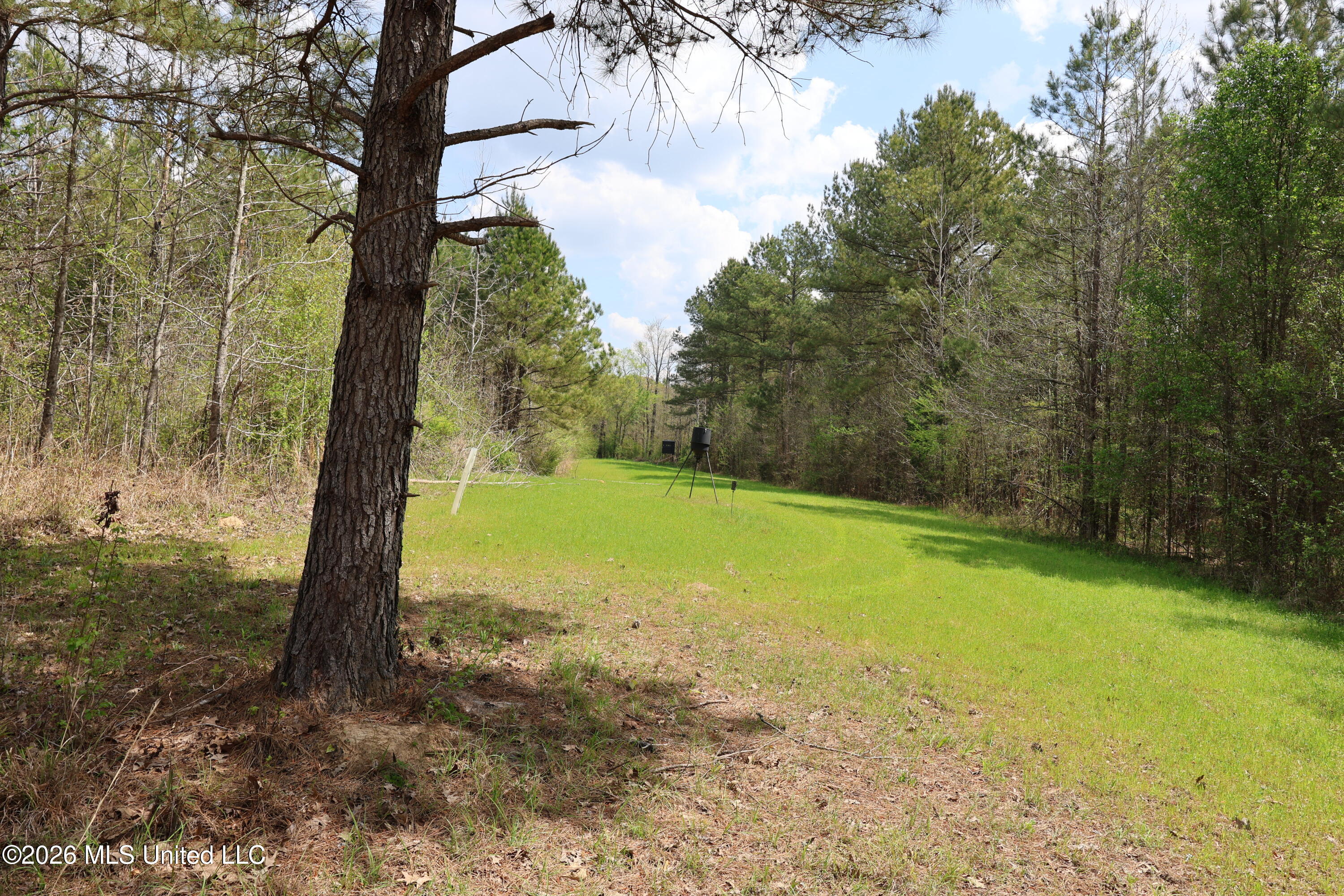 3194 James Road Property Photo 86
