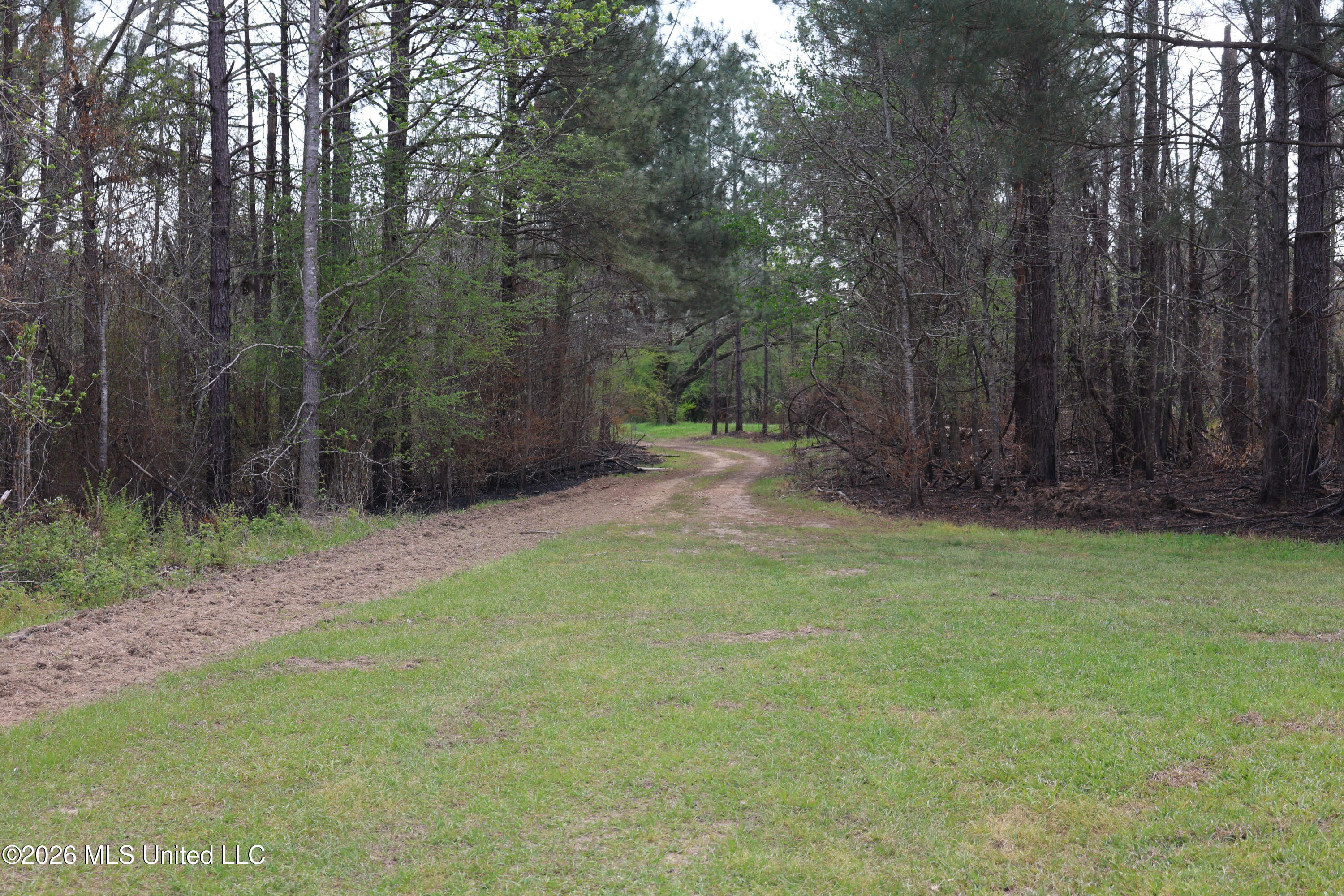3194 James Road Property Photo 87