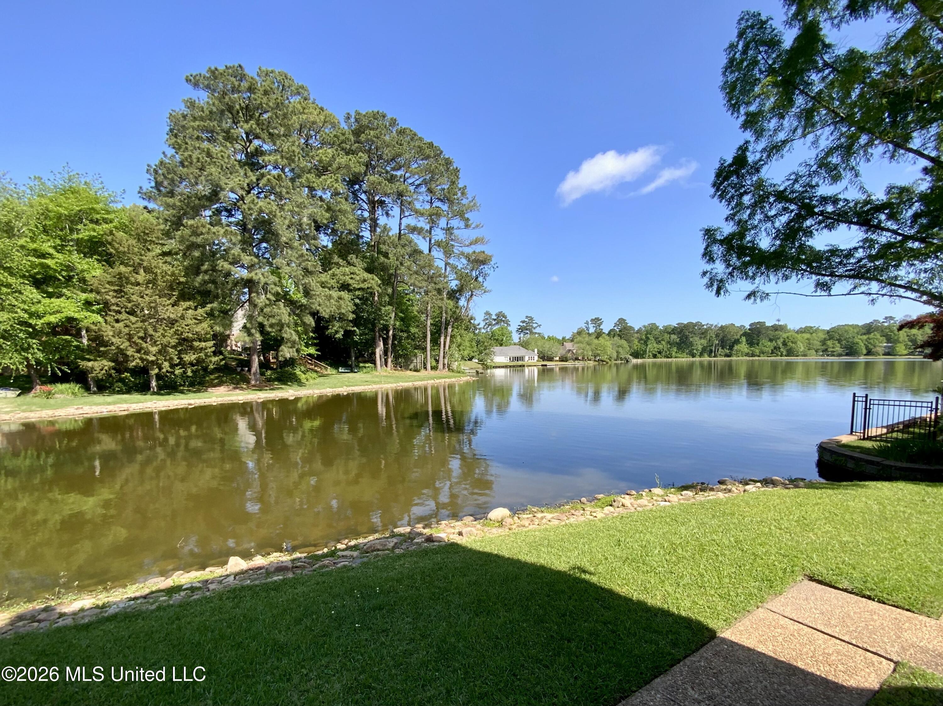 4 Spring Lake Point Property Photo 2