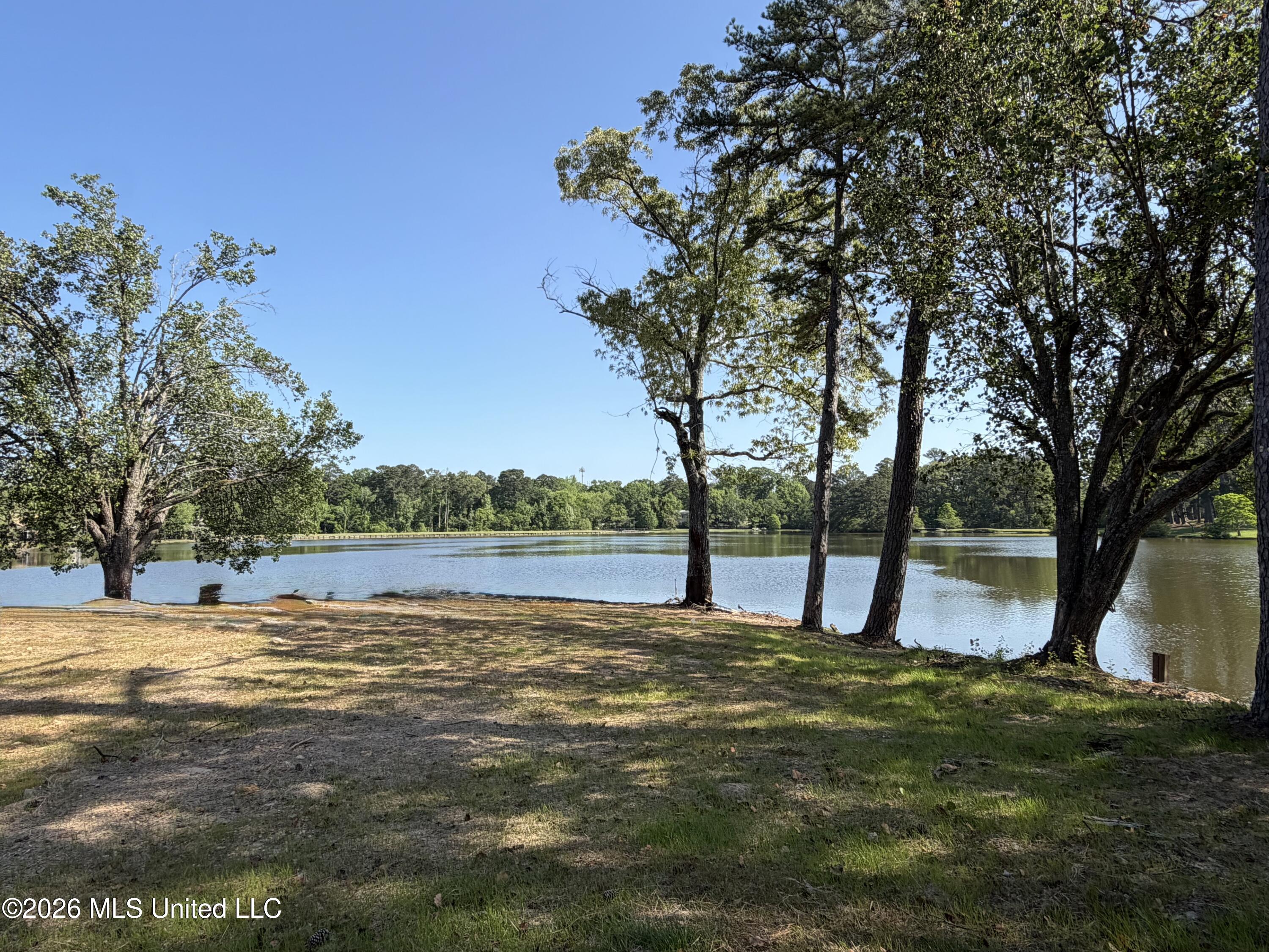 4 Spring Lake Point Property Photo 7