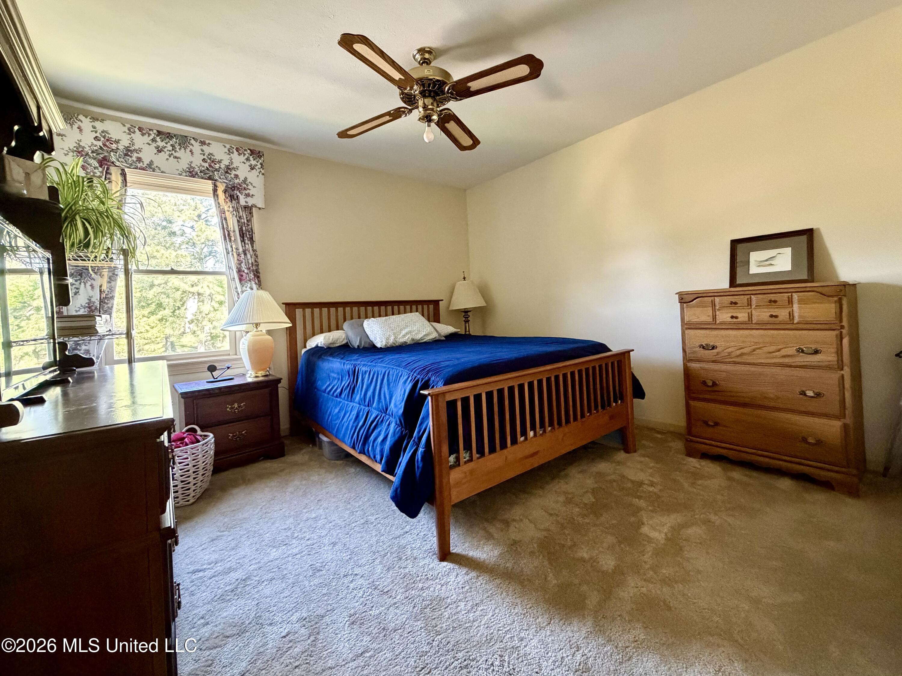 4 Spring Lake Point Property Photo 24