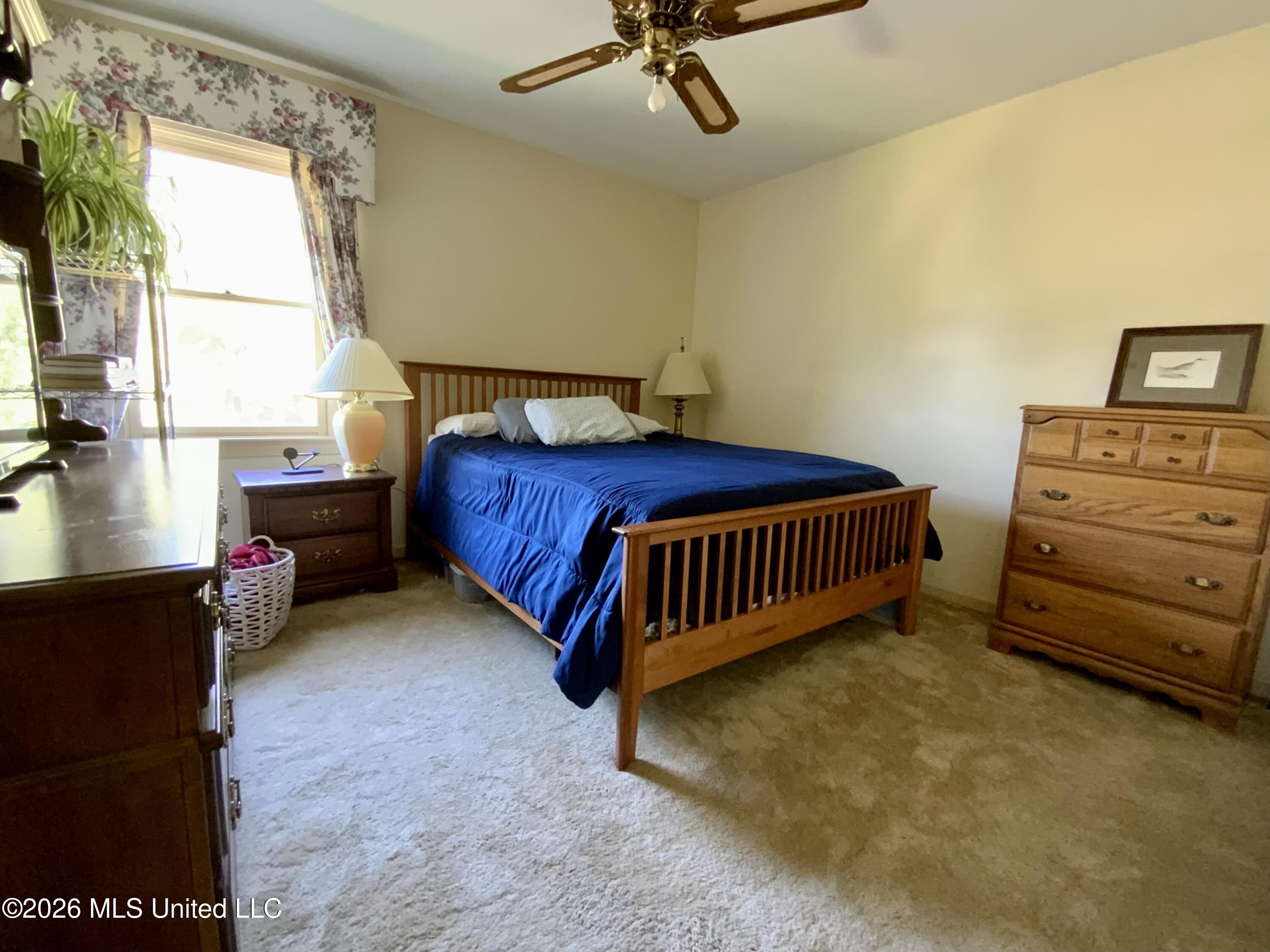 4 Spring Lake Point Property Photo 26