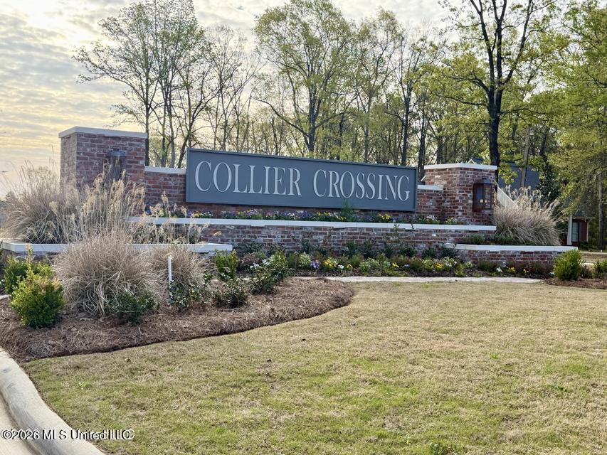 725 Celadon Street Property Photo 8