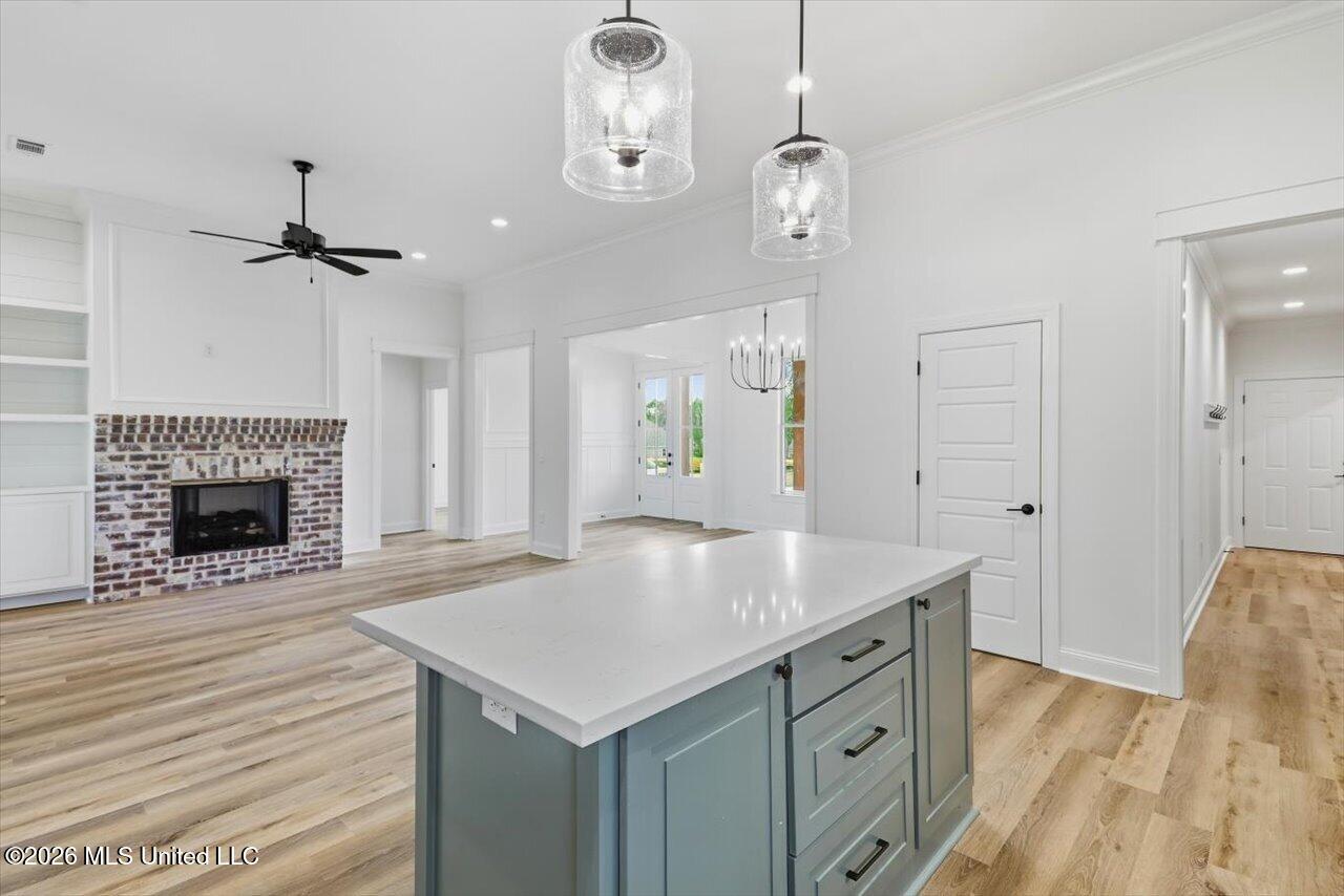 725 Celadon Street Property Photo 10