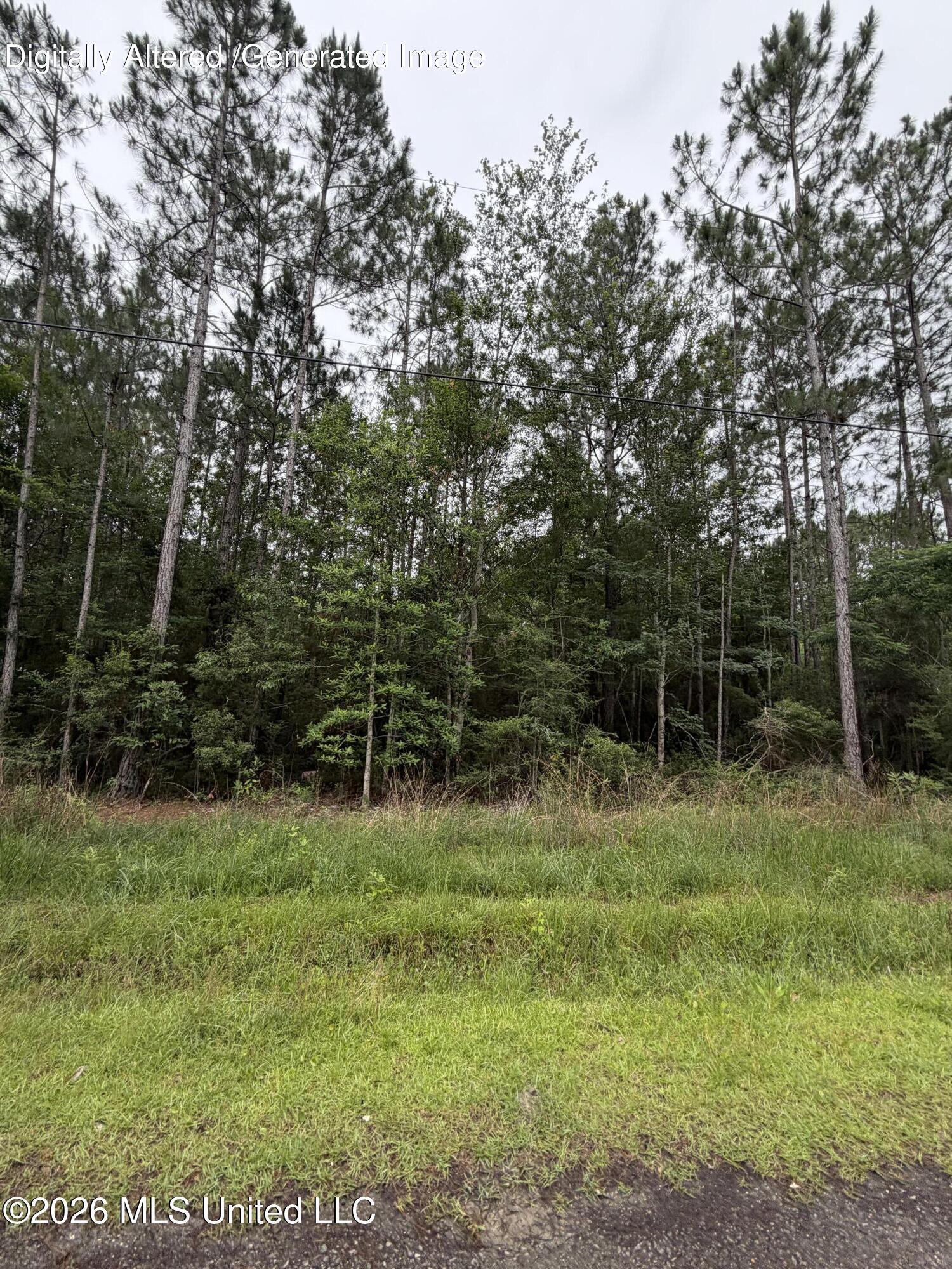 7065 George Street Property Photo 2