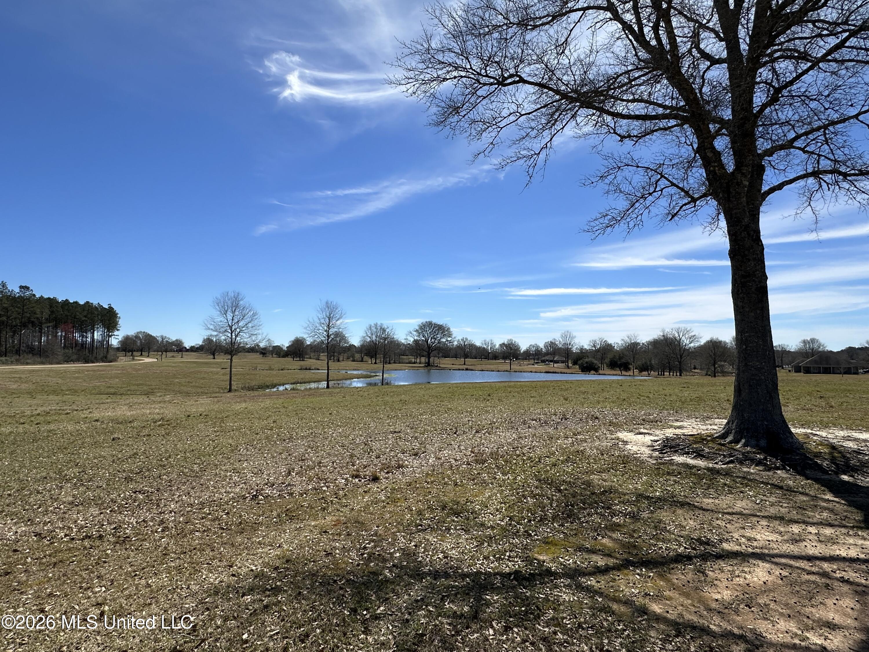 Northern Exposure Property Photo 4