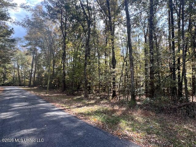 0 Pelahatchie Road Property Photo 1
