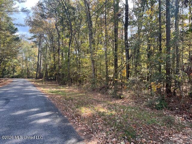0 Pelahatchie Road Property Photo 2