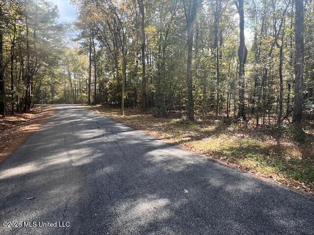 0 Pelahatchie Road Property Photo 3