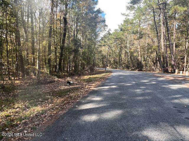 0 Pelahatchie Road Property Photo 4