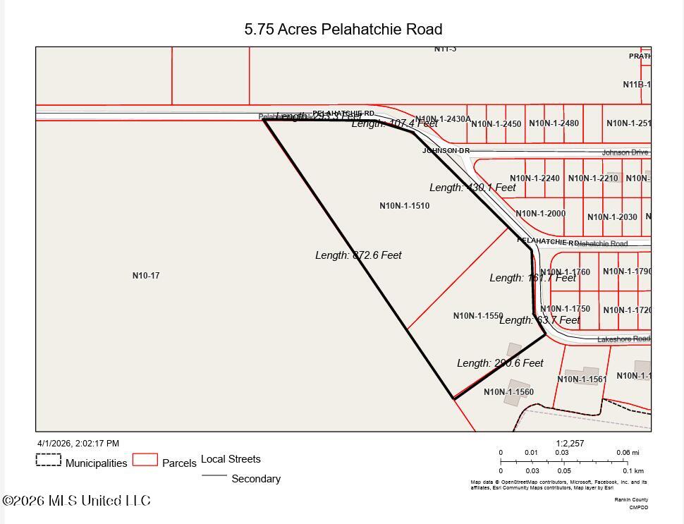0 Pelahatchie Road Property Photo 5