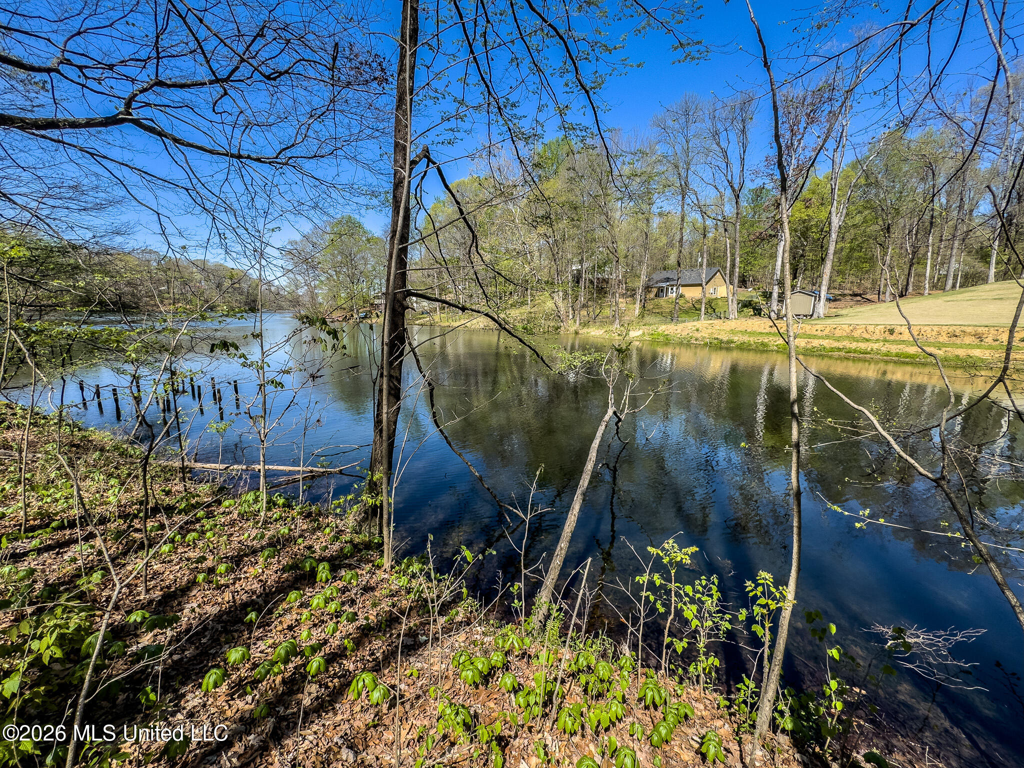 11072 Horseshoe Bend Property Photo 2