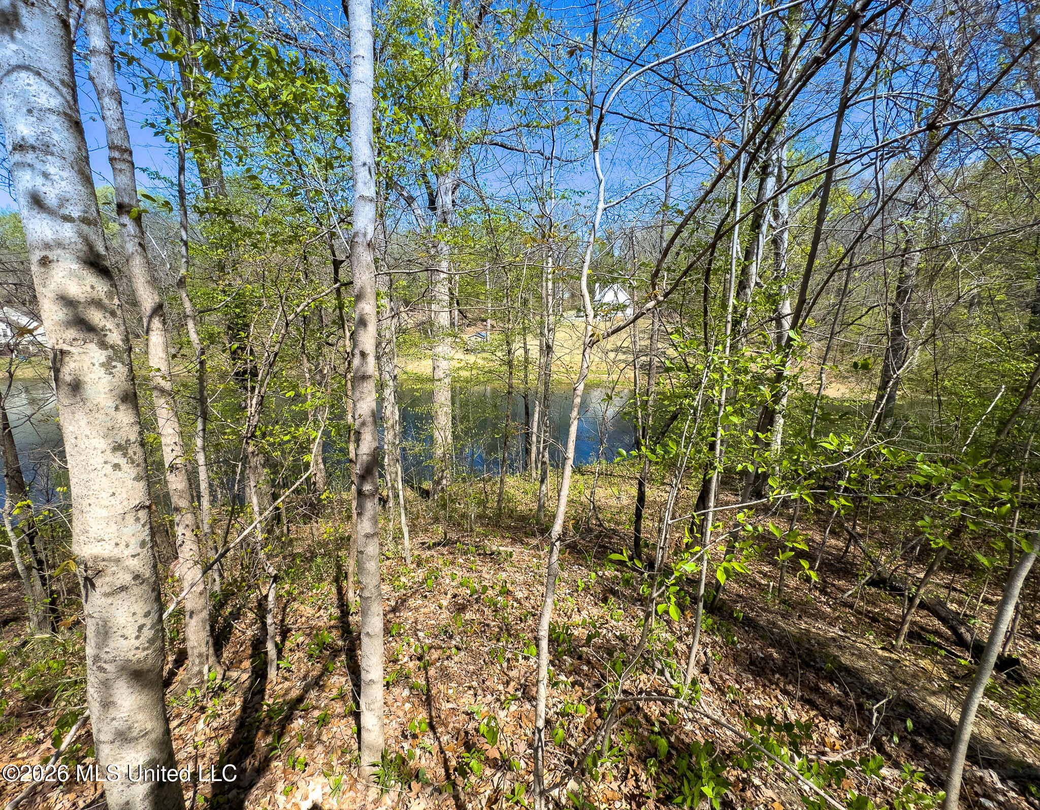 11072 Horseshoe Bend Property Photo 4