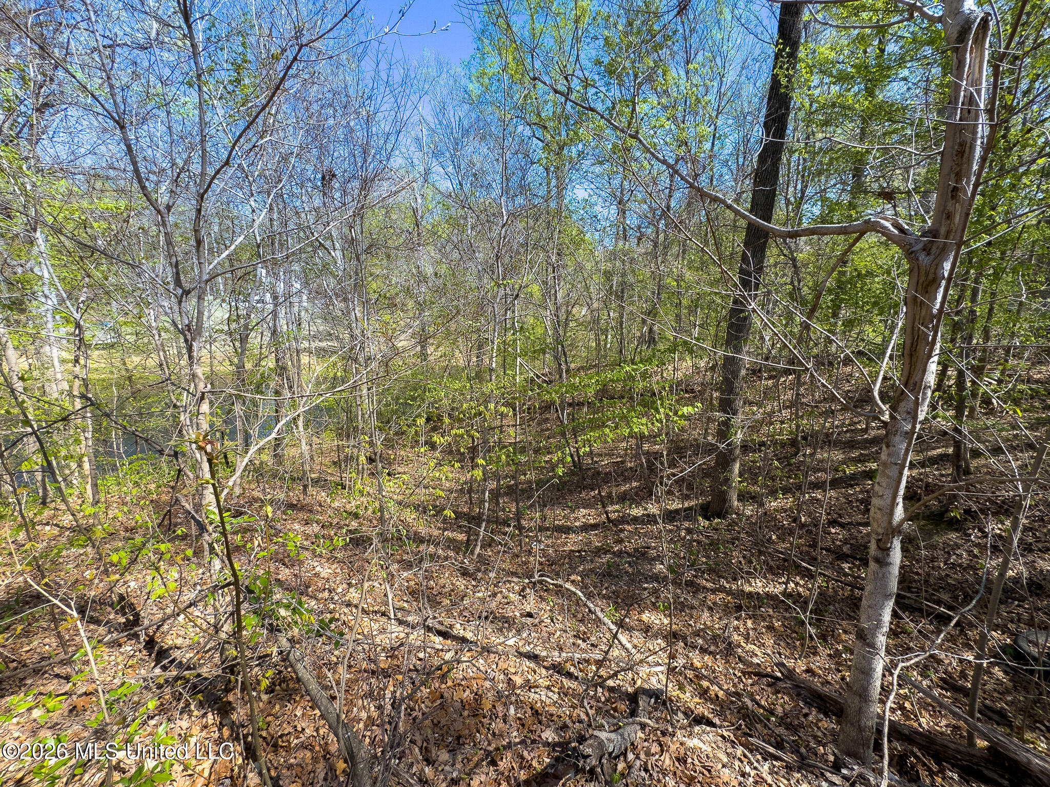 11072 Horseshoe Bend Property Photo 5