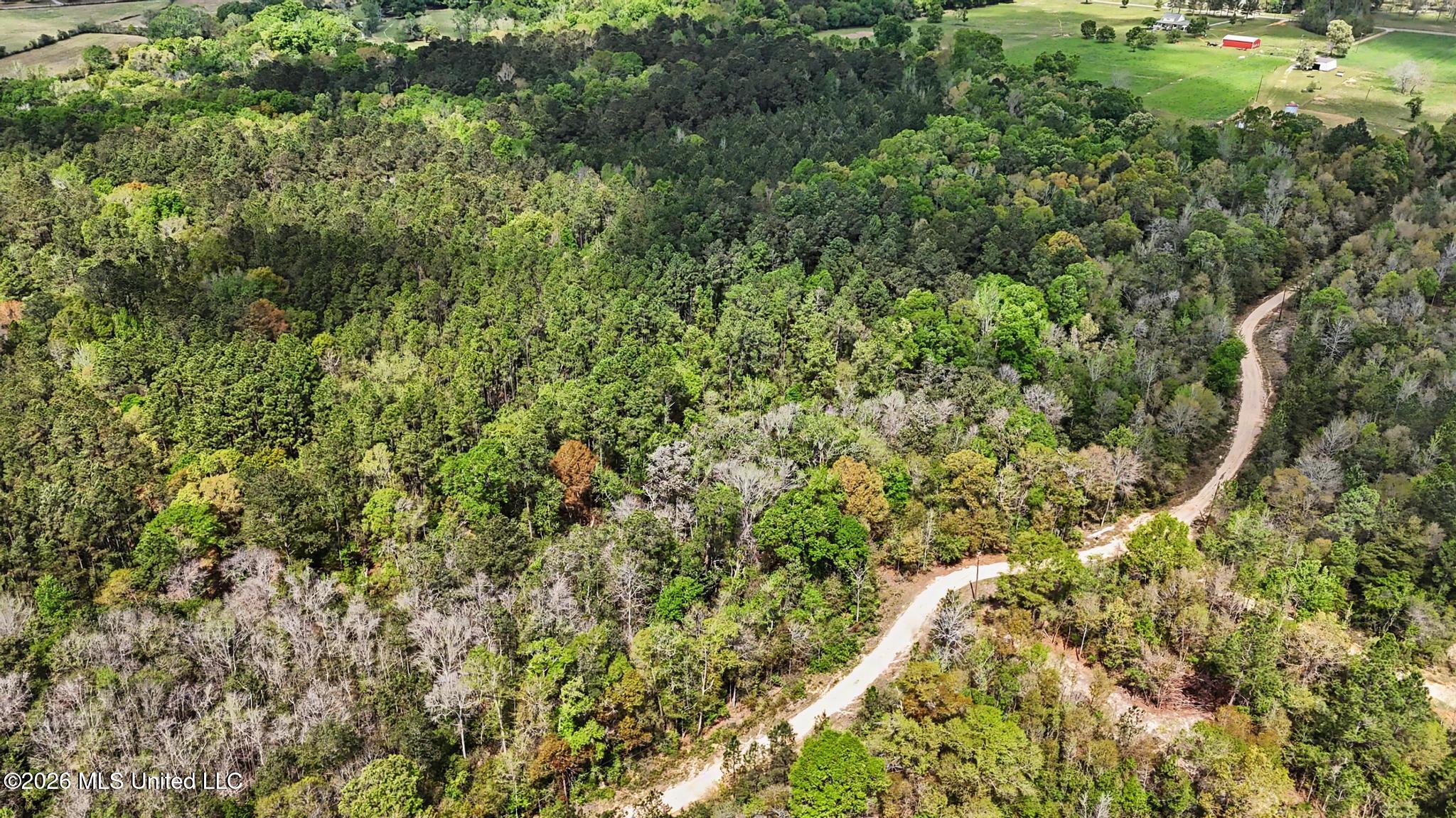 0 Pete Dixon Road Property Photo 1