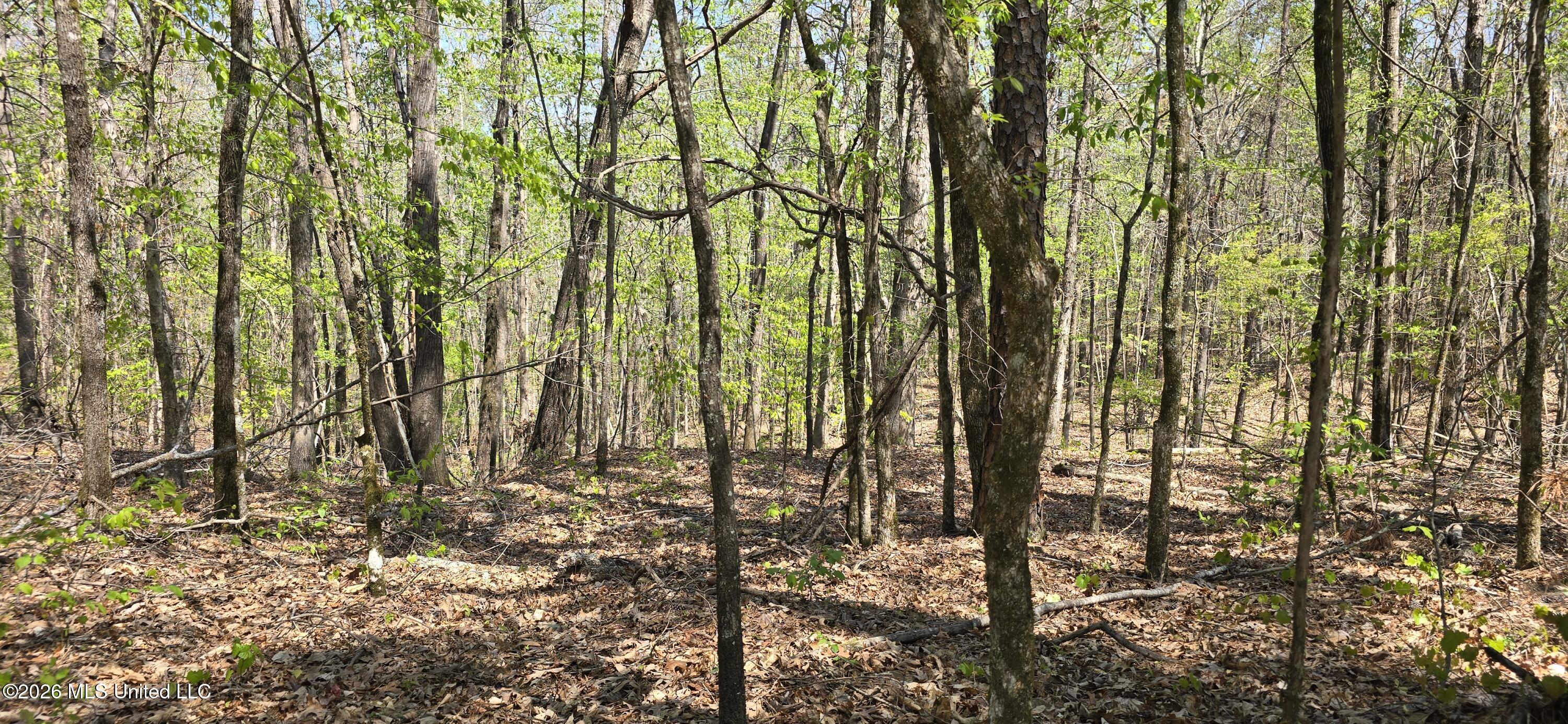 Ms-17 Property Photo 4
