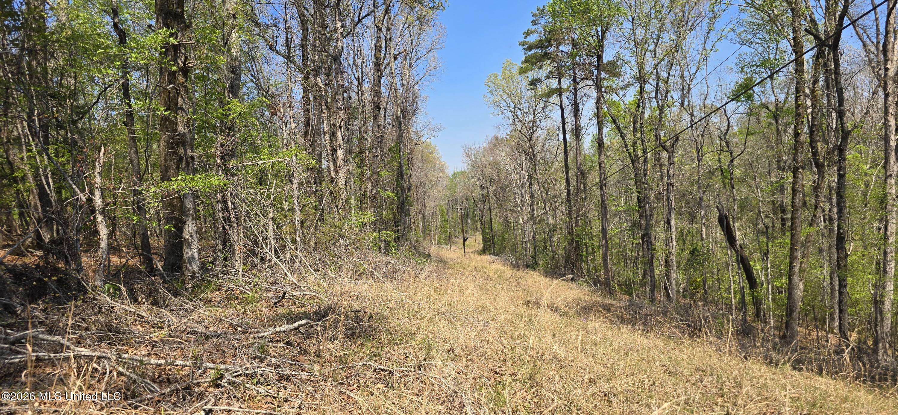Ms-17 Property Photo 10