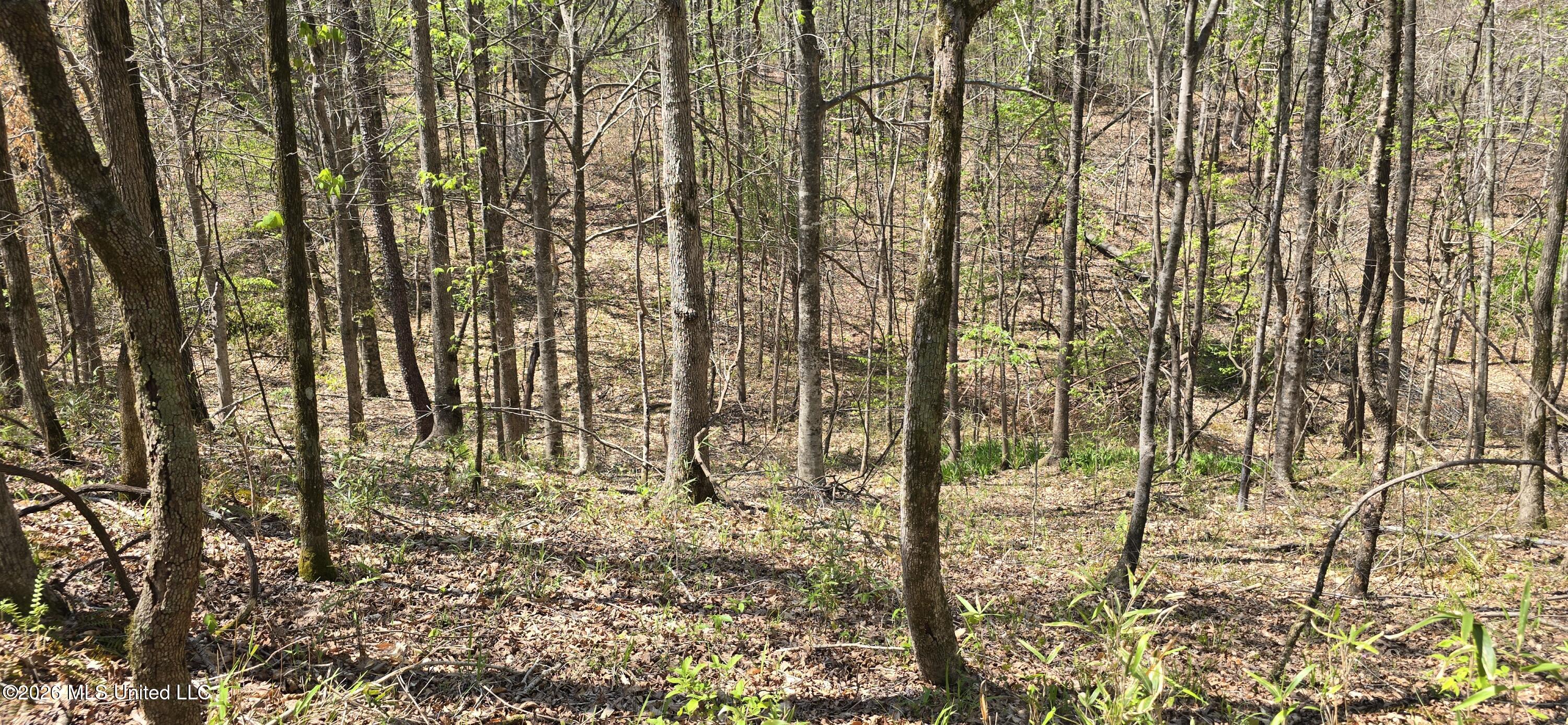 Ms-17 Property Photo 11