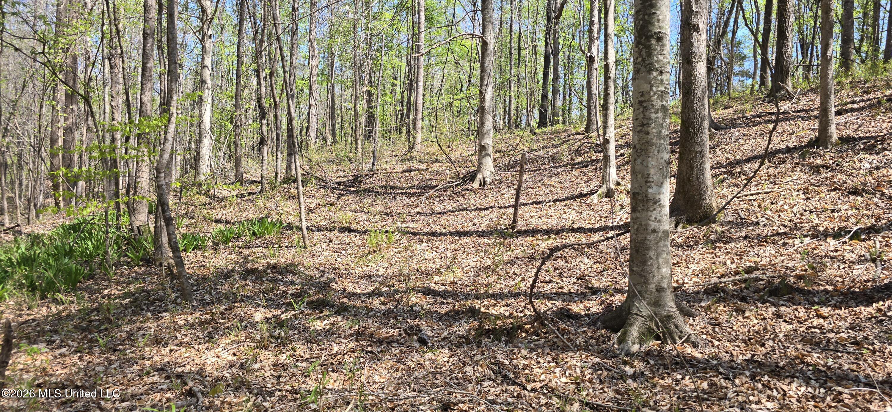 Ms-17 Property Photo 12